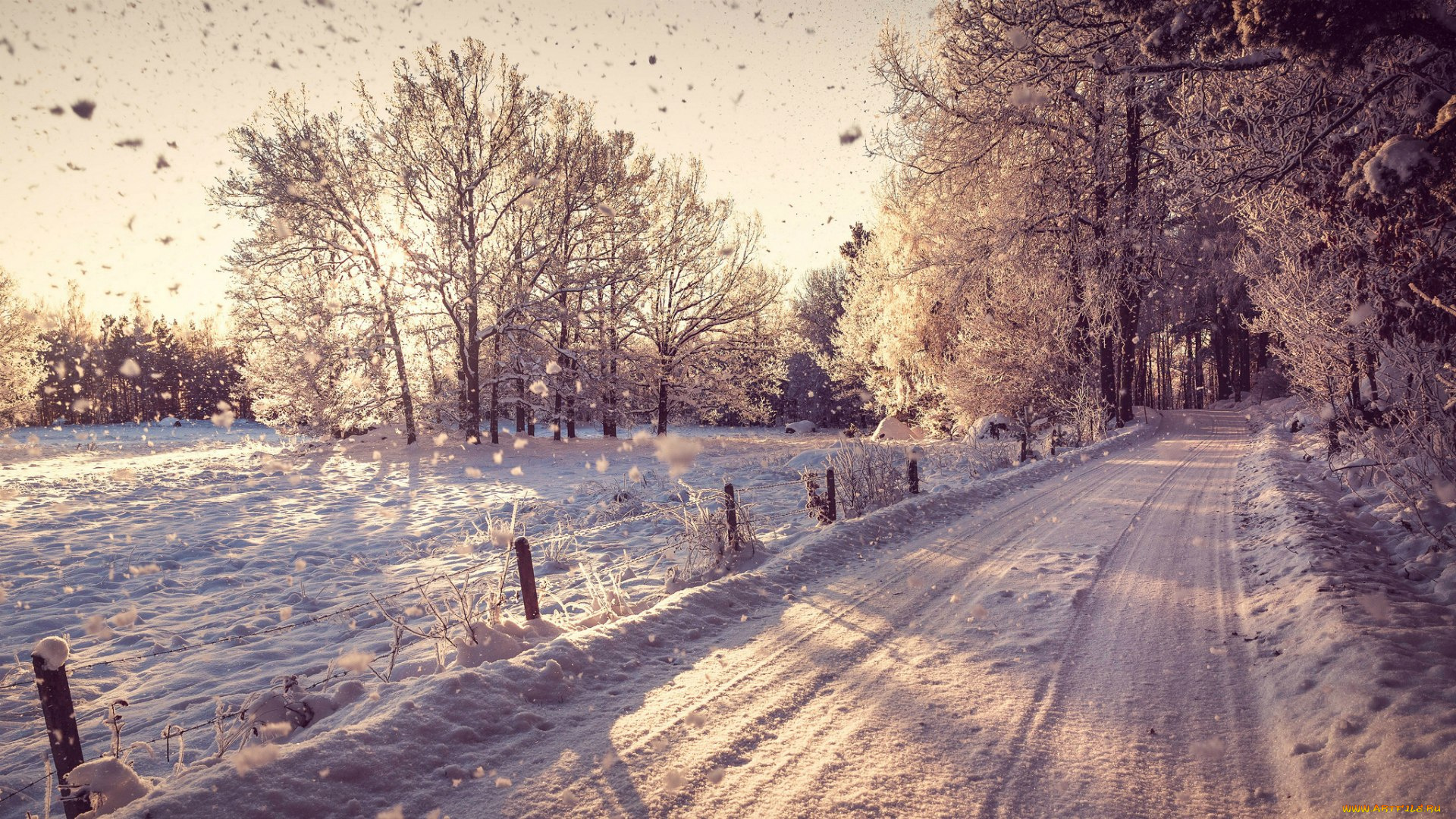 зима, природа, снег, дорога, ограда, деревья