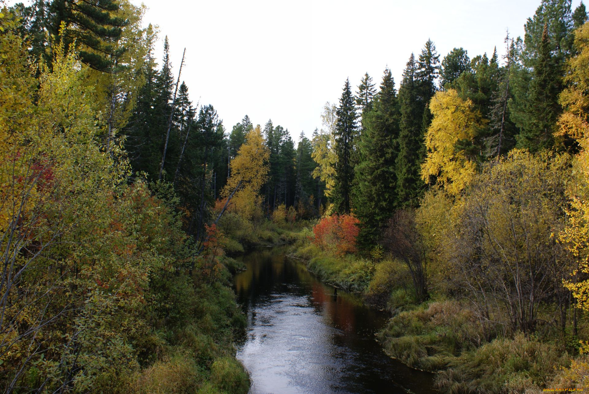 природа, нижневартовска, реки, озера, лес, деревья, осень, река