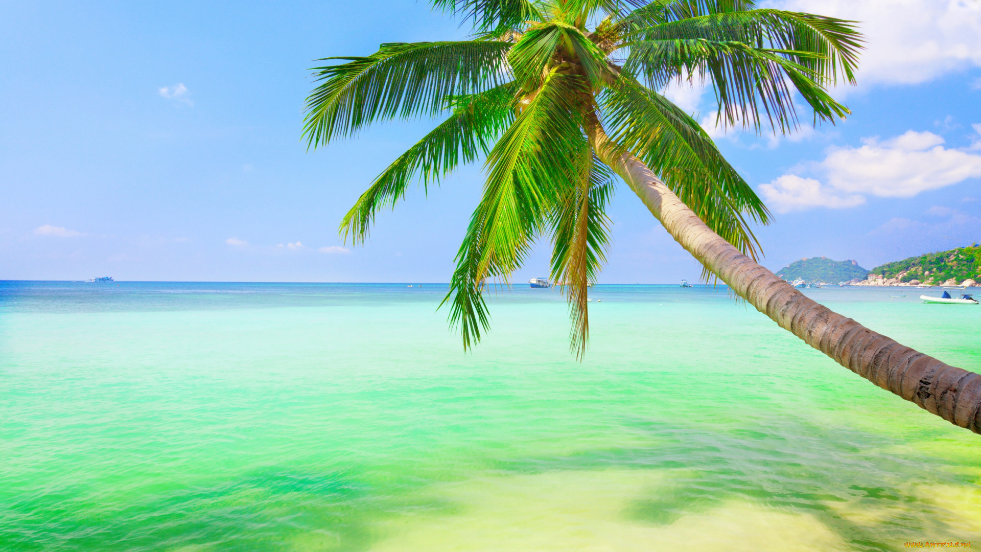 природа, тропики, пляж, море, clouds, облака, небо, пейзаж, пальма, coconut, palm, weeping, sea, sky, landscape, nature