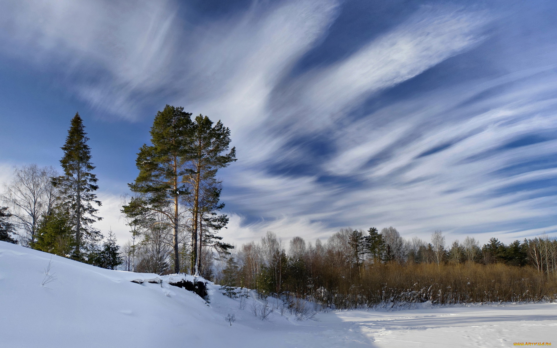 природа, зима, небо, снег, деревья