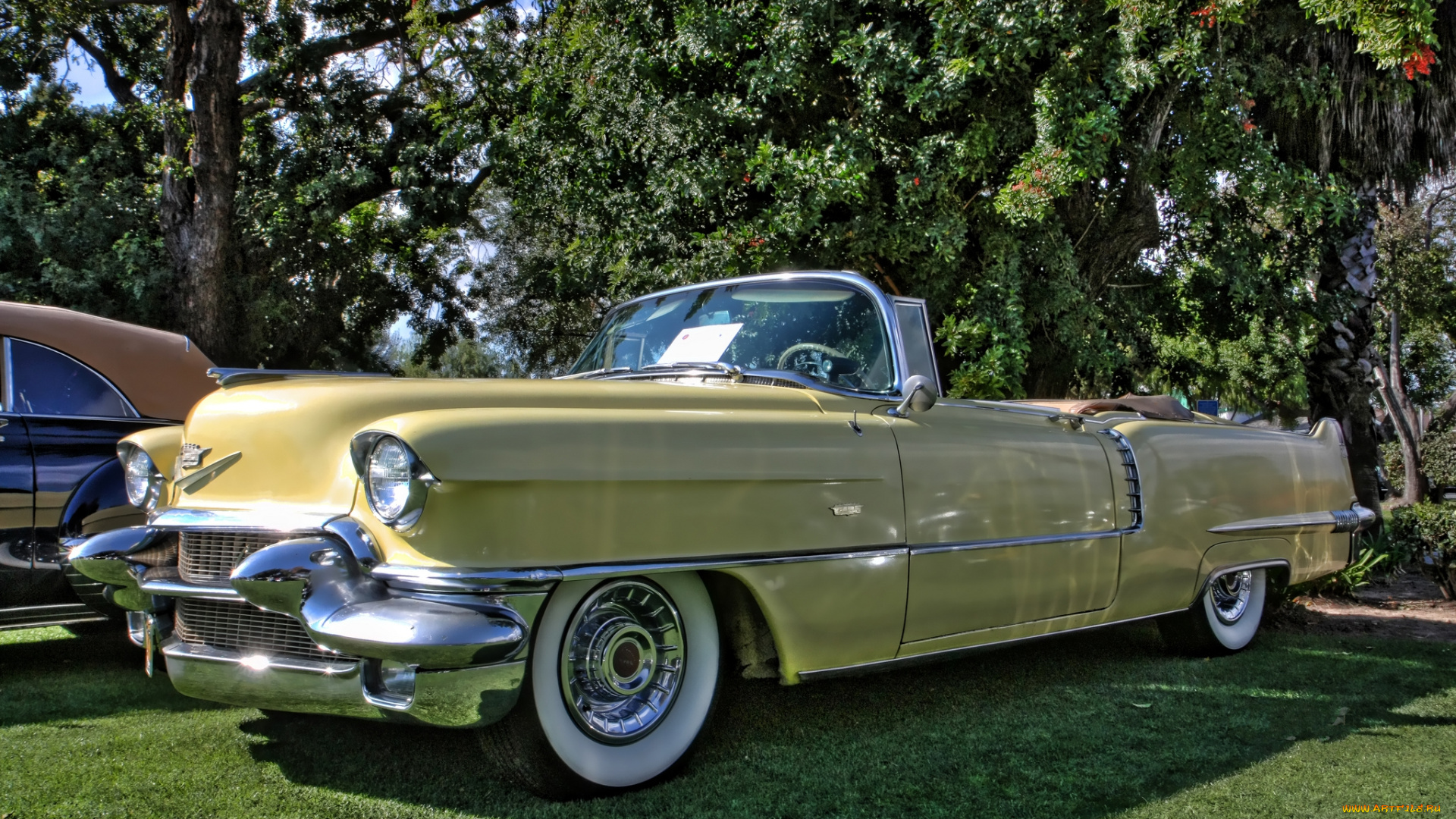 1956, cadillac, serie, 62, convertible, автомобили, выставки, и, уличные, фото, выставка, автошоу