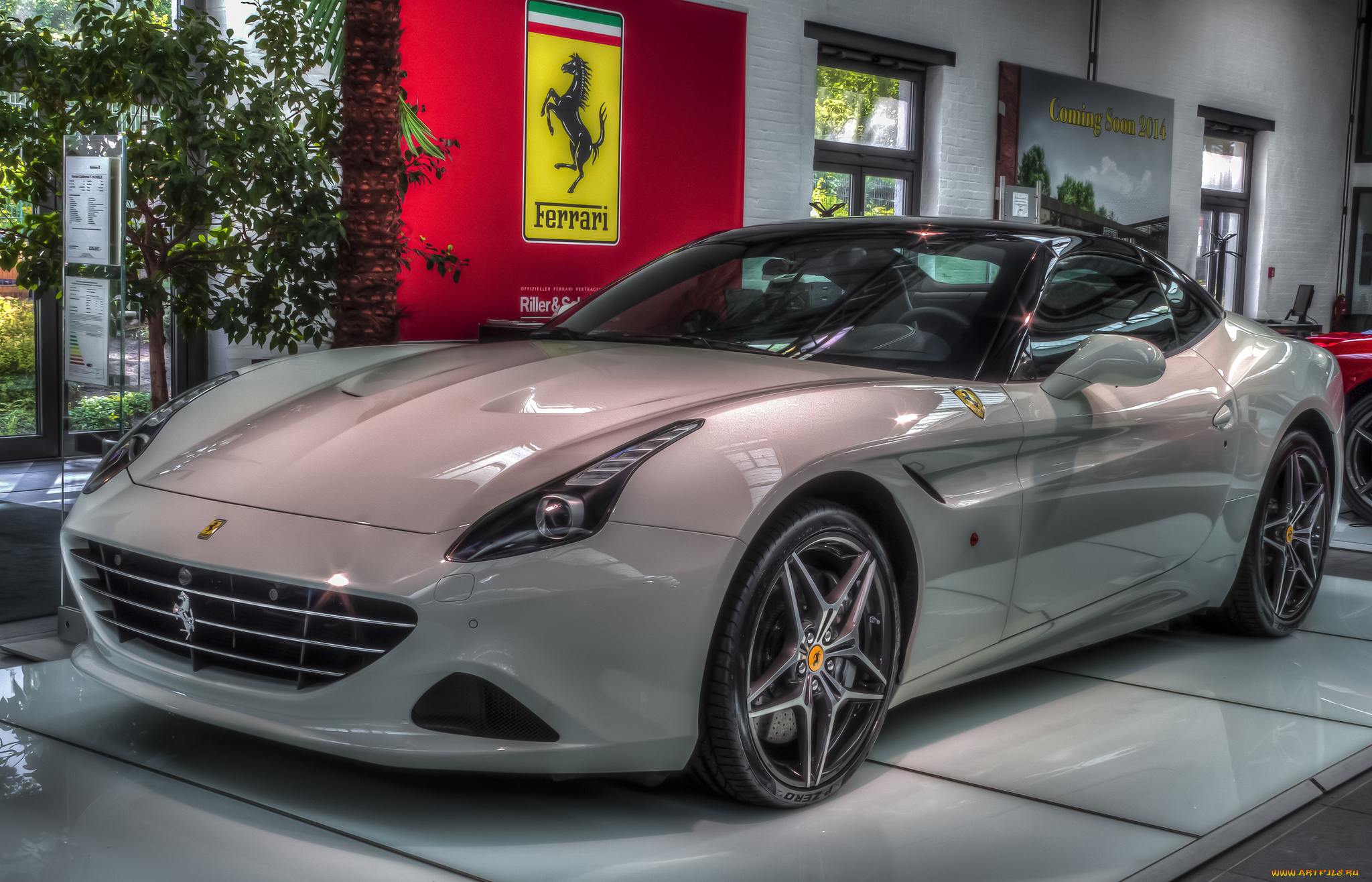 ferrari, автомобили, выставки, и, уличные, фото, выставка, автошоу