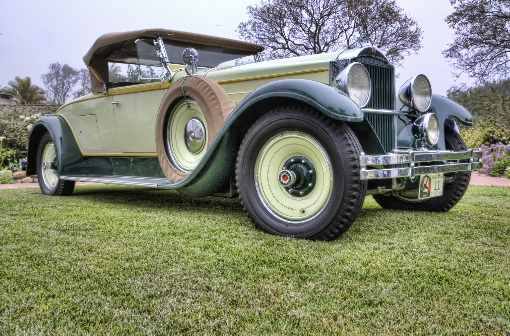 1929, packard, model, 645, dietrich, roadster, автомобили, выставки, и, уличные, фото, выставка, автошоу