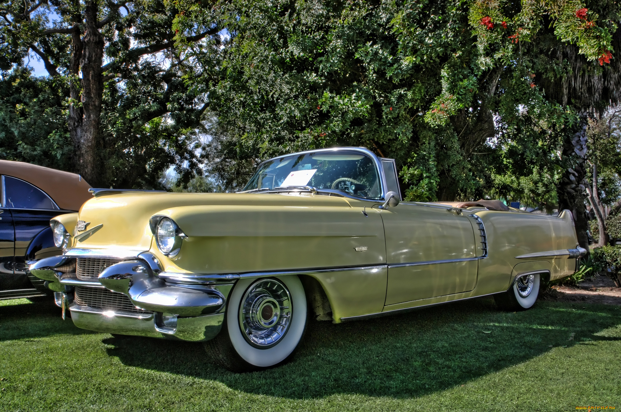 1956, cadillac, serie, 62, convertible, автомобили, выставки, и, уличные, фото, выставка, автошоу