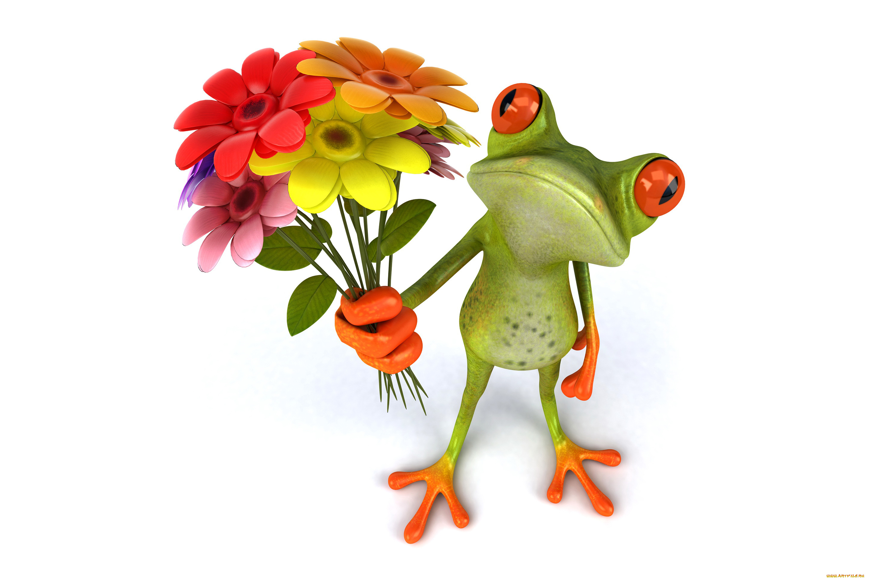 3д, графика, юмор, , humor, flowers, лягушка, funny, frog