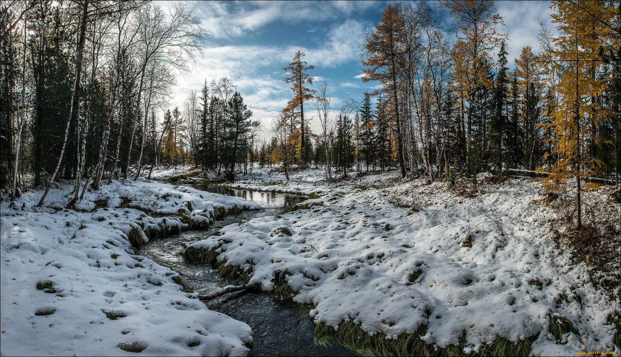 природа, зима, река, лес