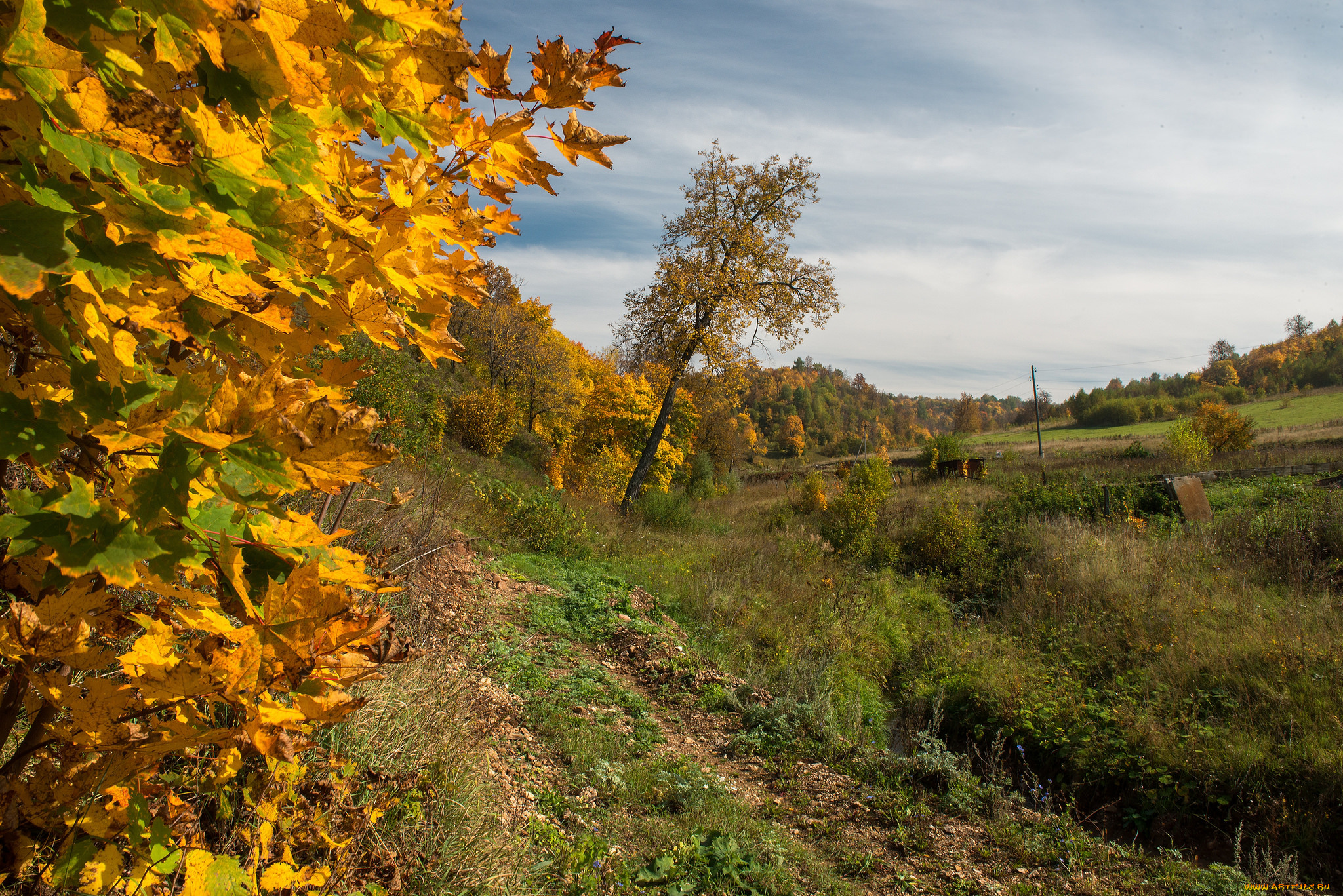 природа, пейзажи, лес, поле, осень