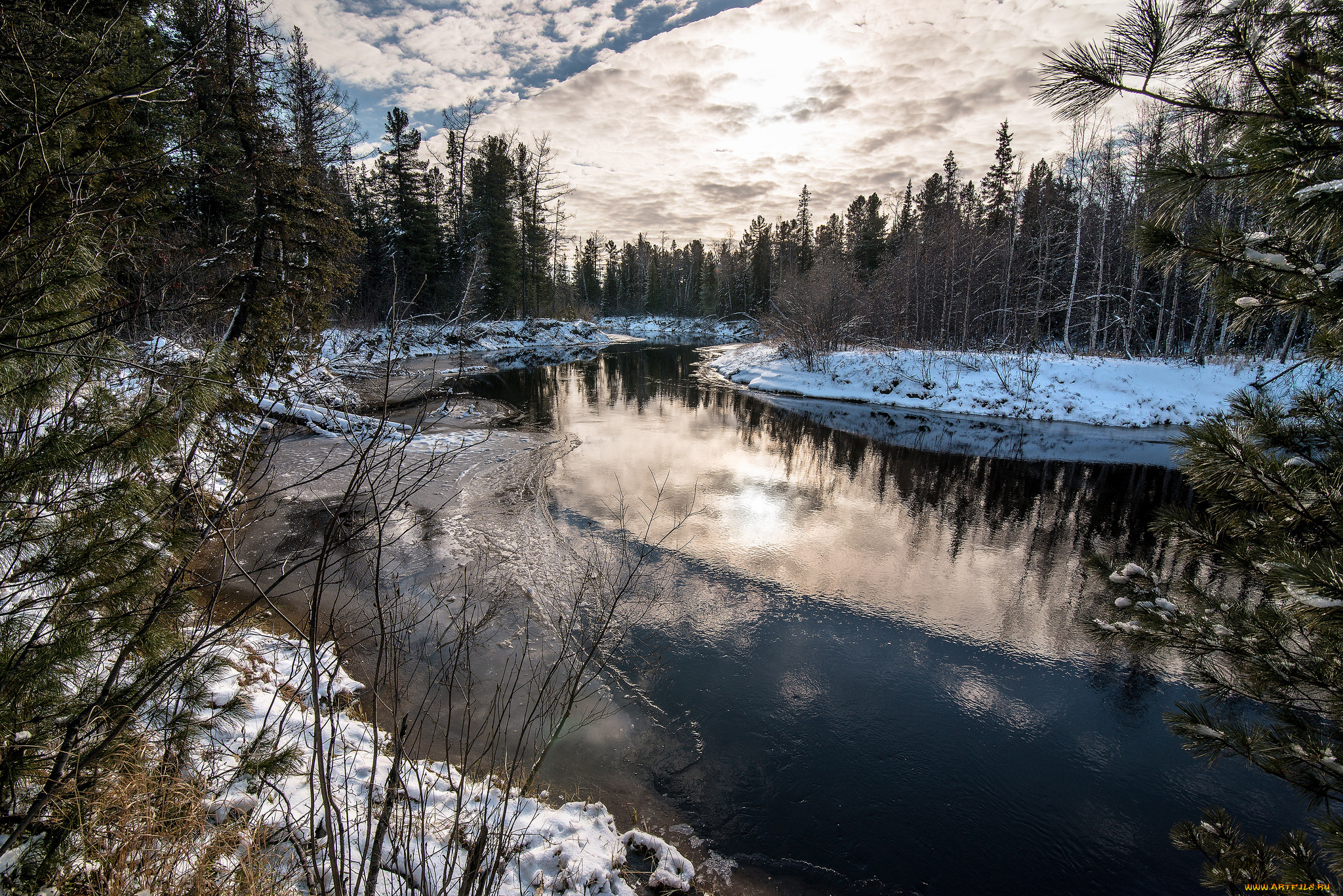 природа, реки, озера, река, лес