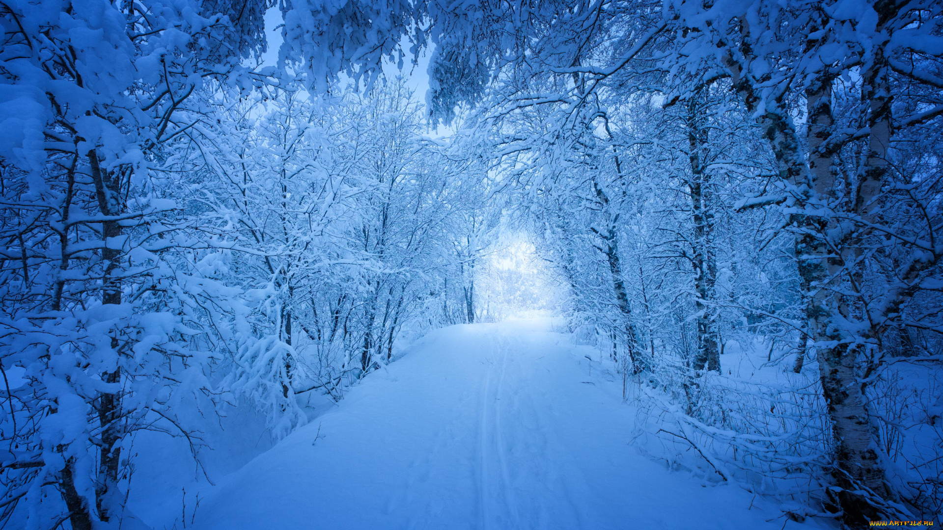 природа, дороги, зима, сугробы, деревья, лес, снег