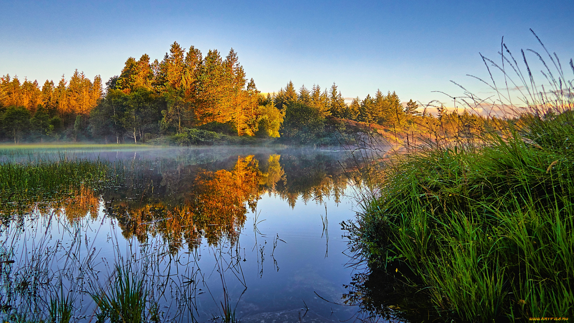 природа, реки, озера, река, лес