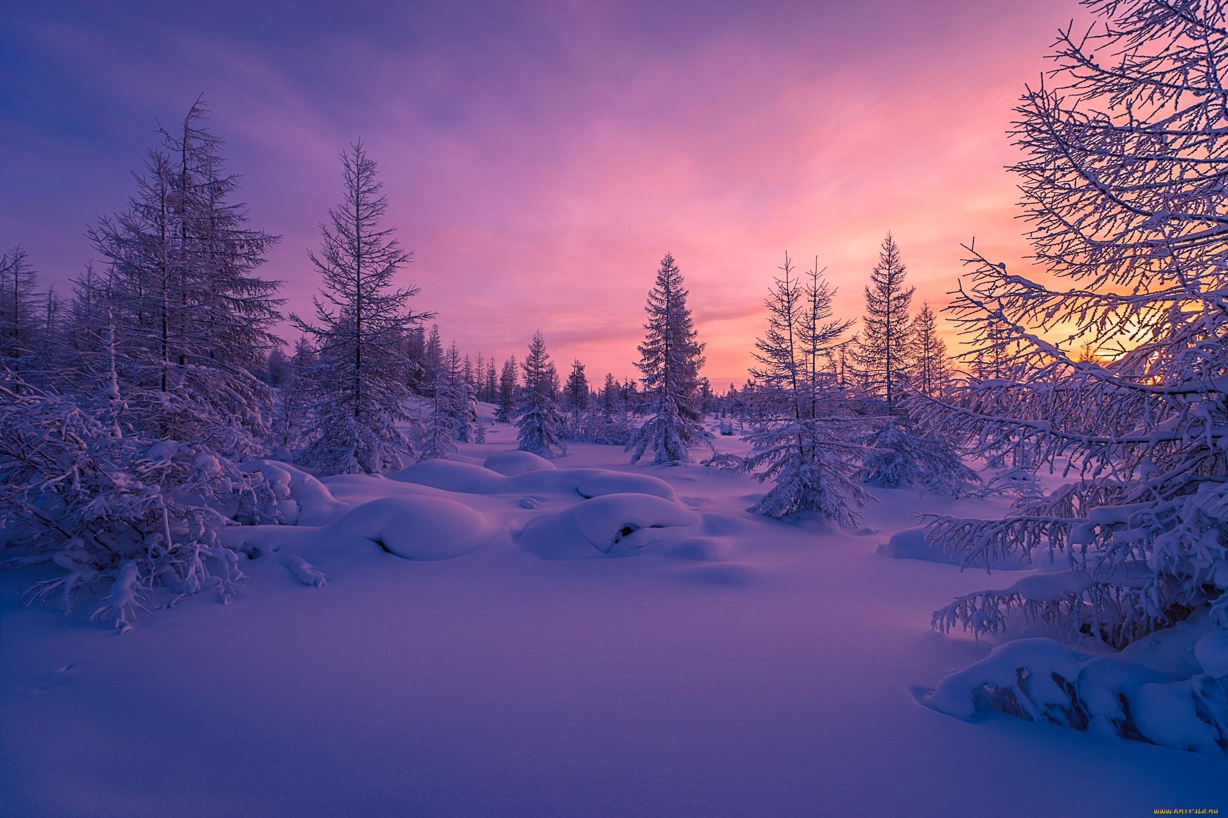 природа, зима, снег, деревья, сугробы, закат