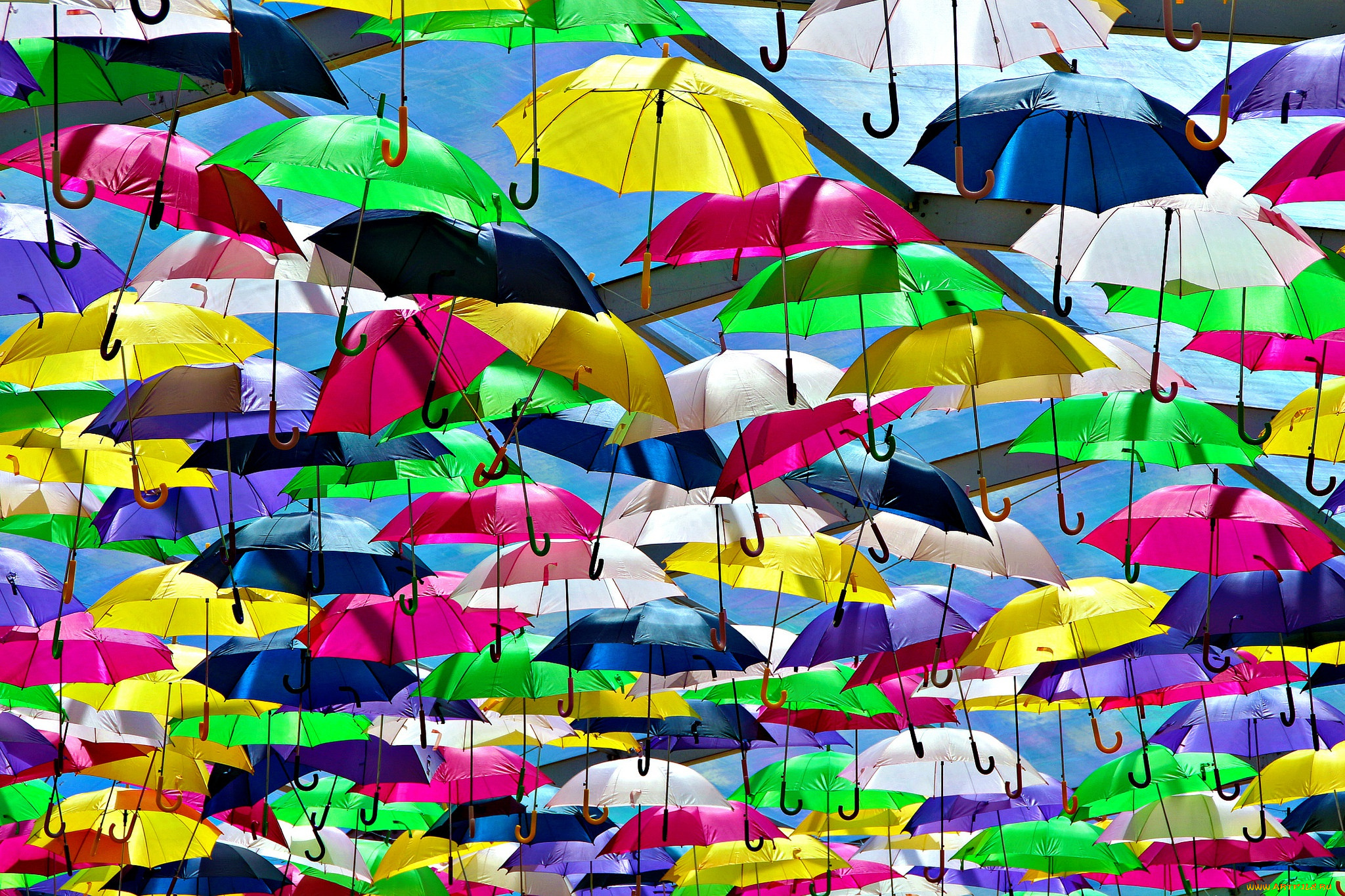 разное, сумки, , кошельки, , зонты, яркий, зонт, разноцветный