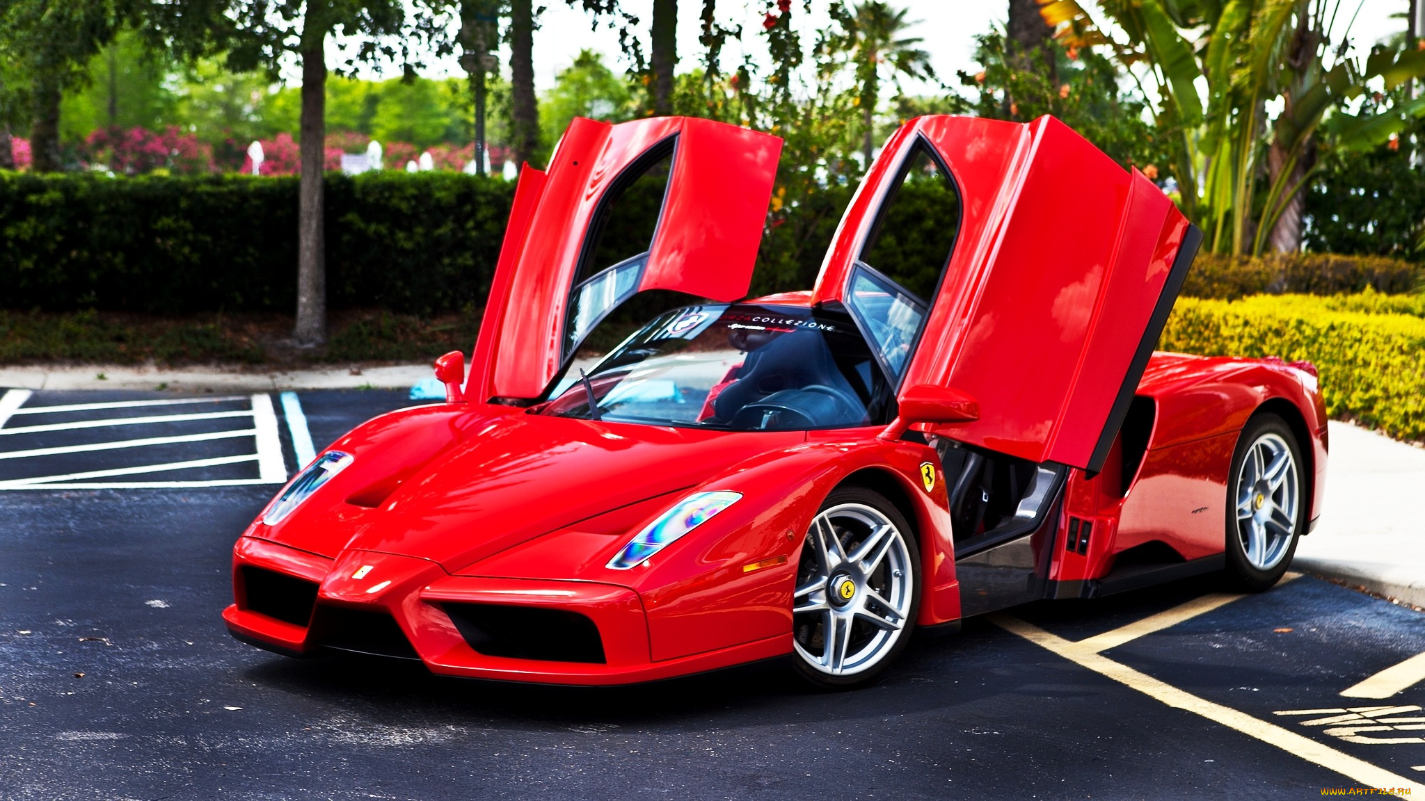 ferrari, enzo, автомобили, италия, спортивный