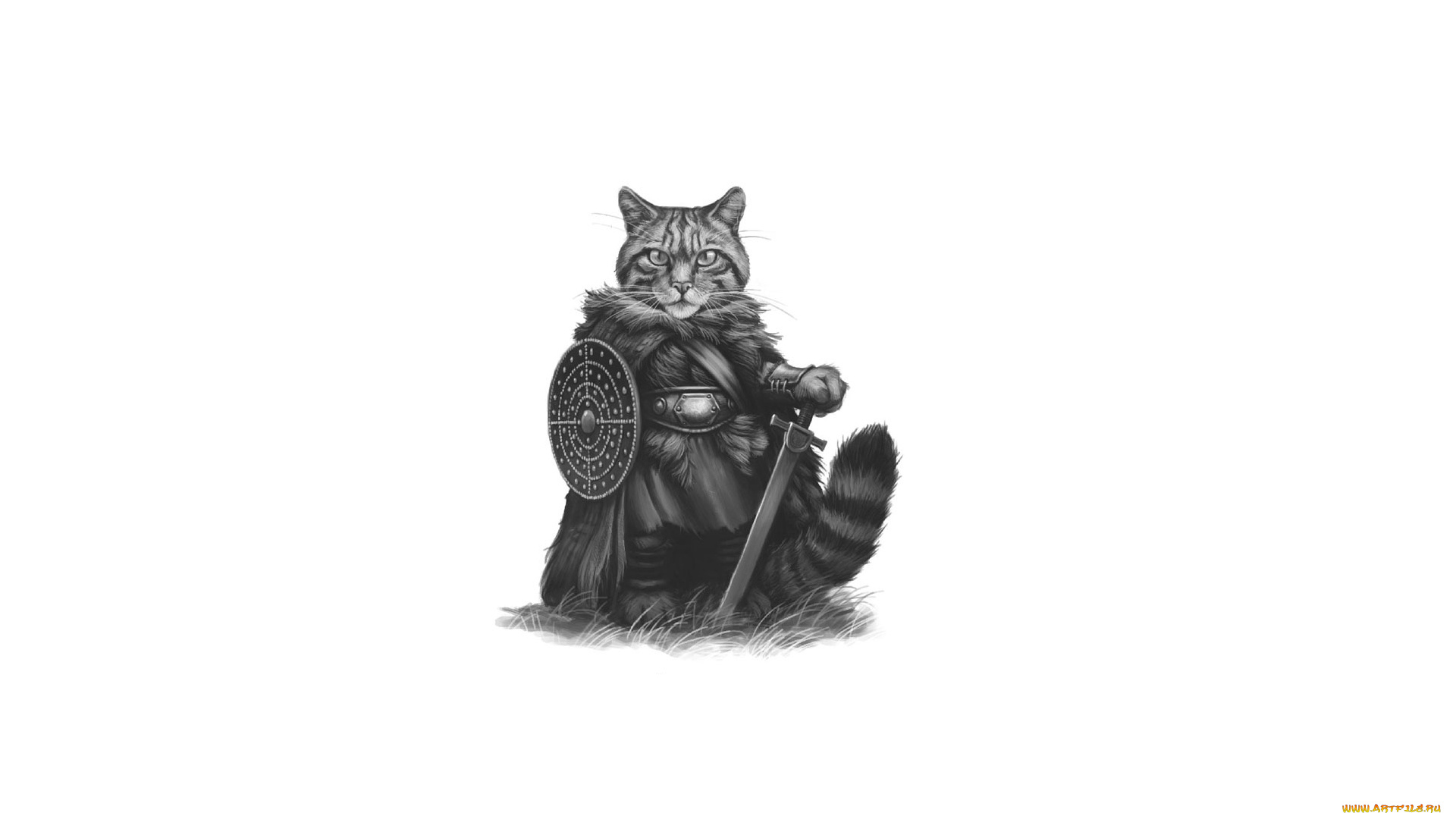 кот, рыцарь, рисованные, минимализм, кот, cat, рыцарь, воин