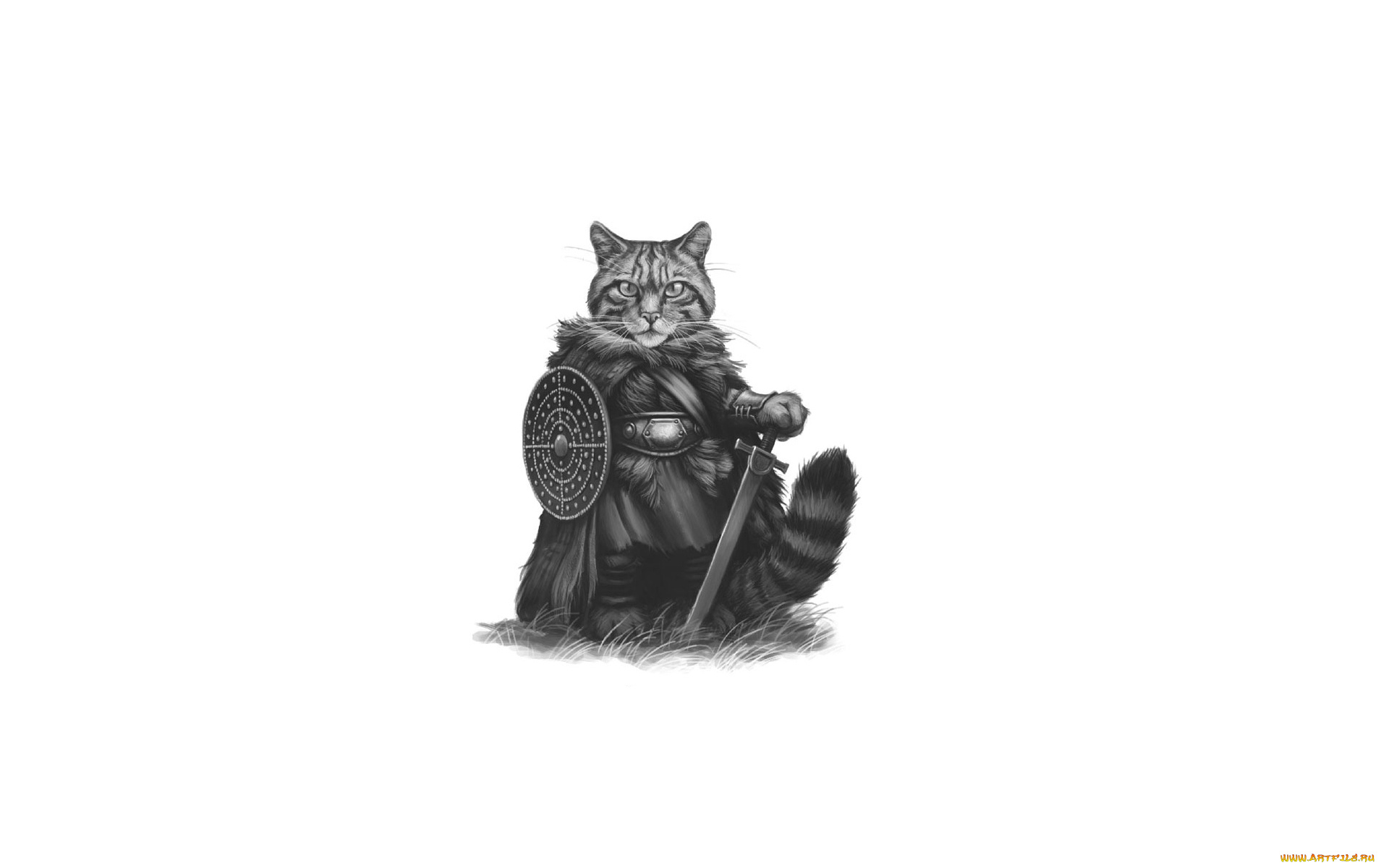кот, рыцарь, рисованные, минимализм, кот, cat, рыцарь, воин