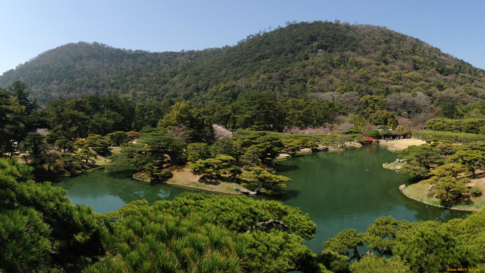 takamatsu, ritsurin, garden, japan, природа, парк, деревья, япония, озеро