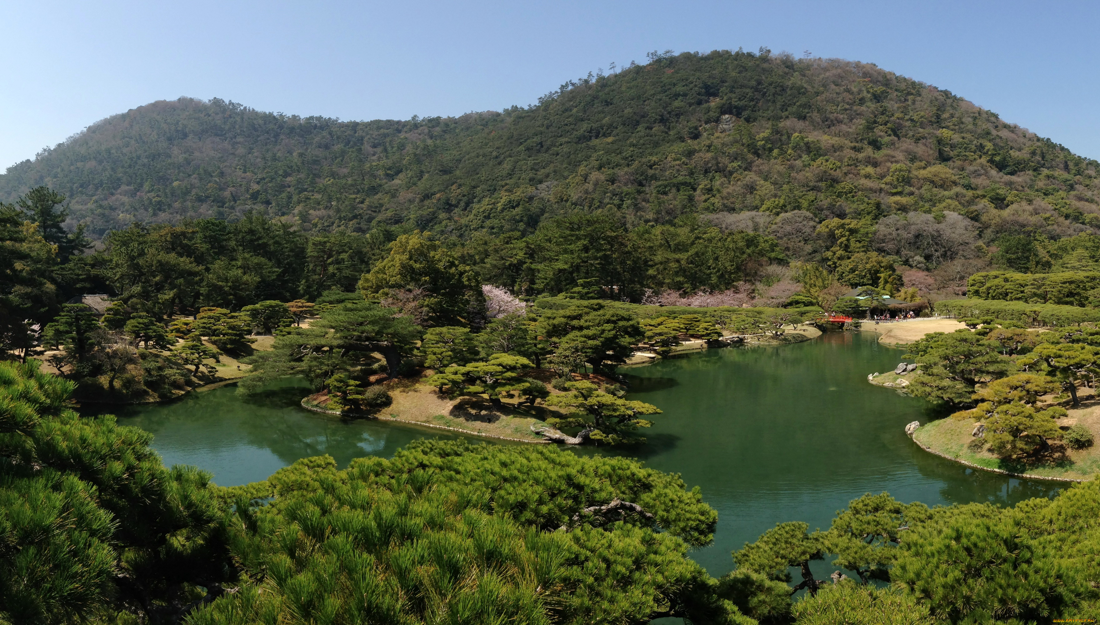 takamatsu, ritsurin, garden, japan, природа, парк, деревья, япония, озеро