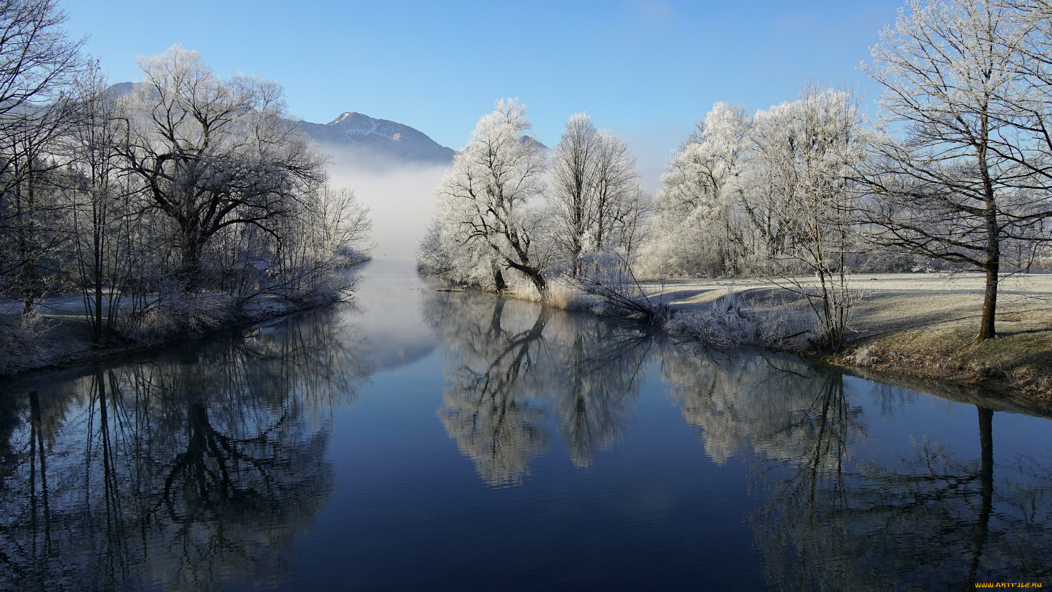 природа, реки, озера, река, лес