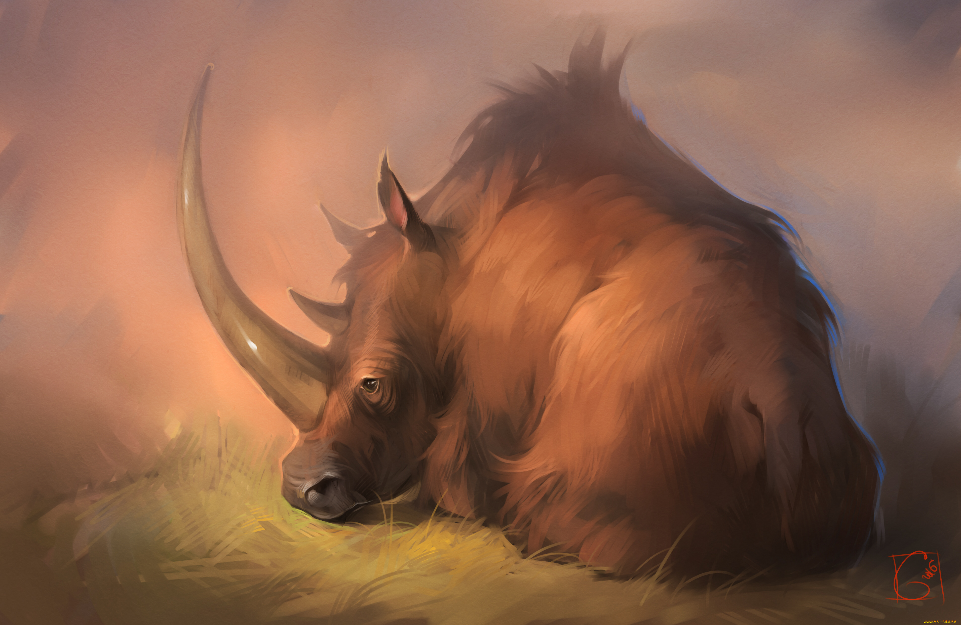 рисованное, животные, , носороги, gaudibuendia