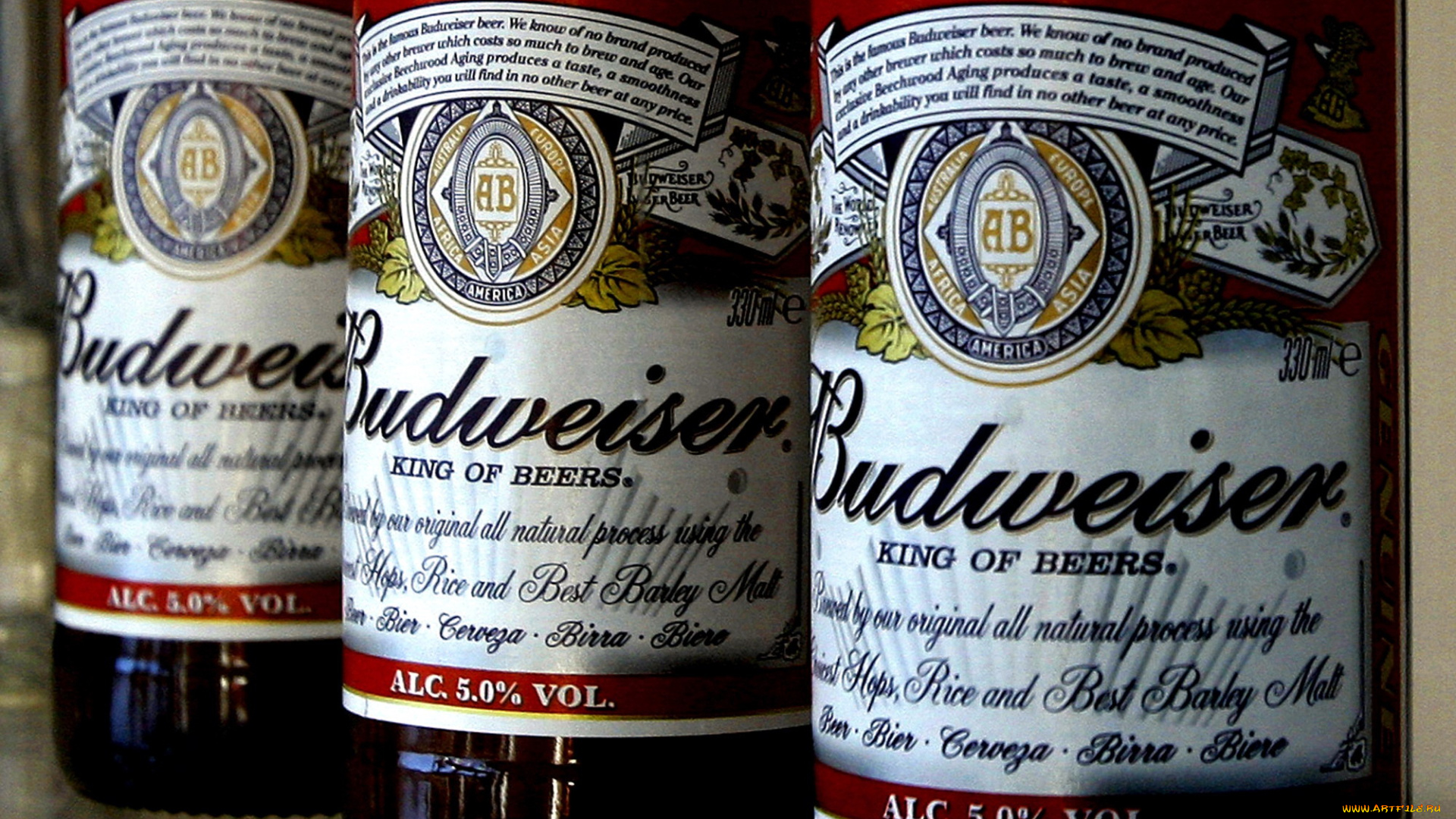 бренды, budweiser, пиво