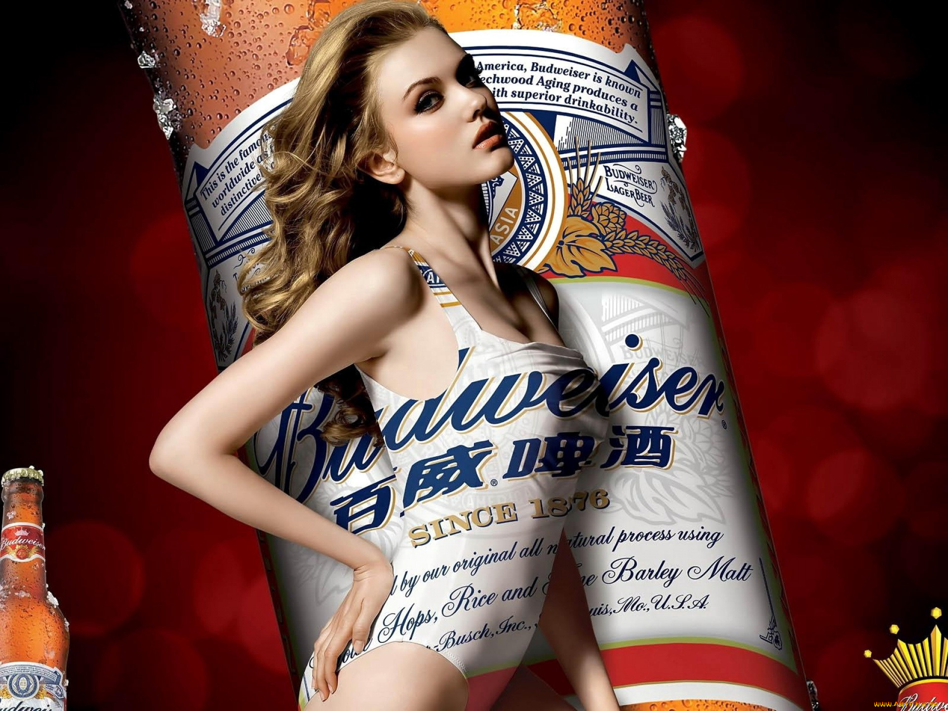 бренды, budweiser, пиво