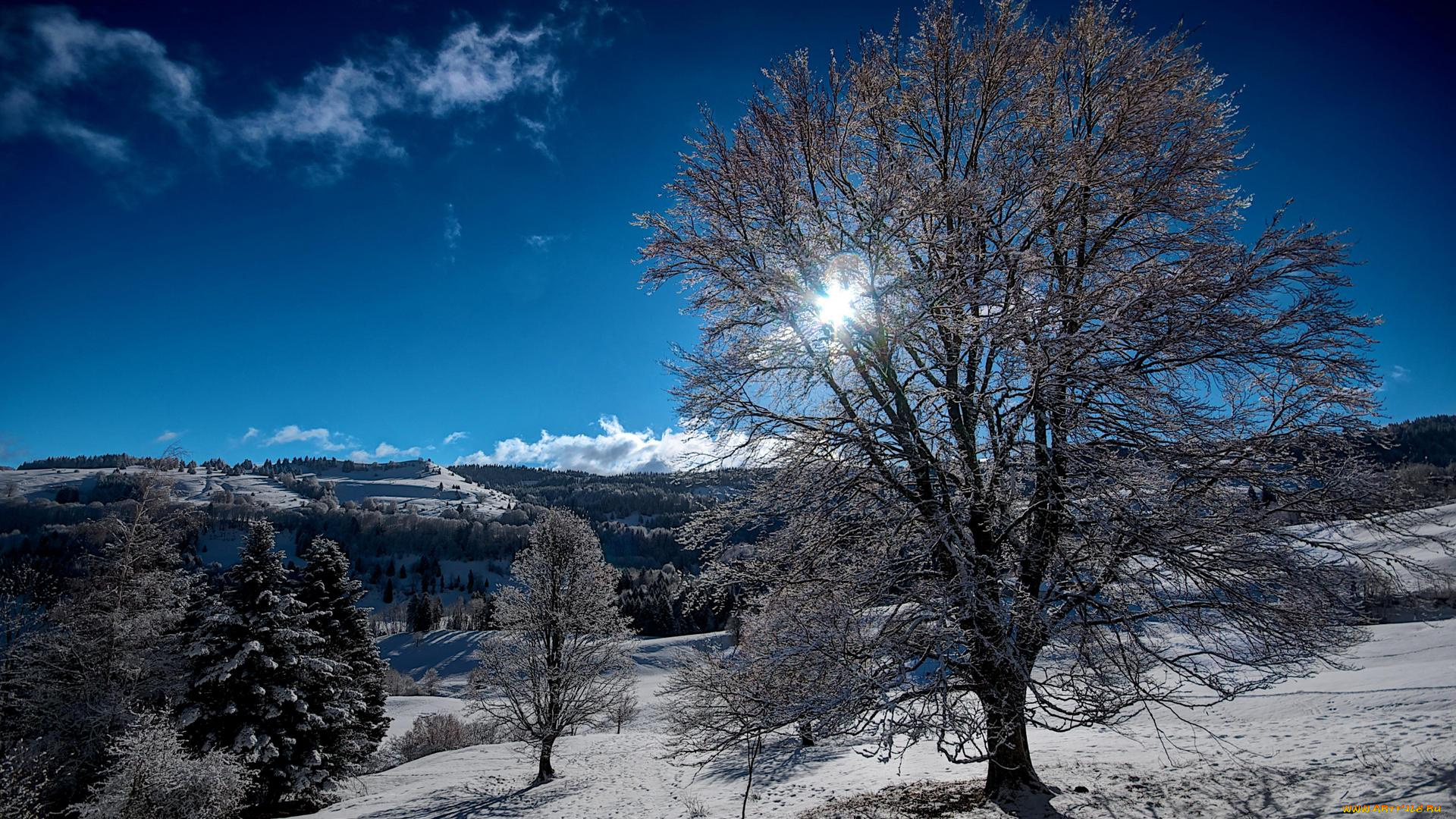 природа, зима, снег, горы, холмы, деревья