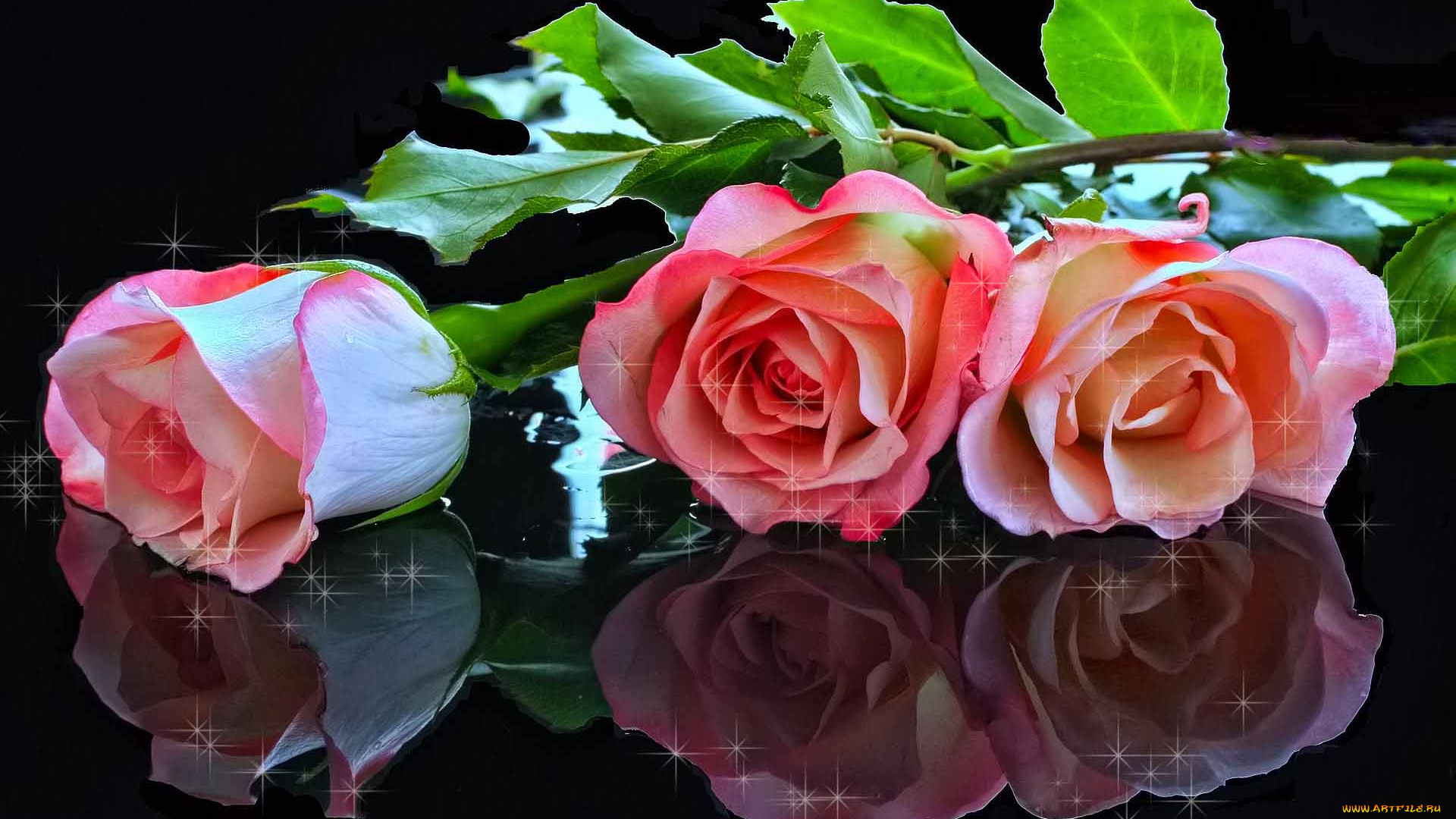 mothers, love, цветы, розы, на, столе