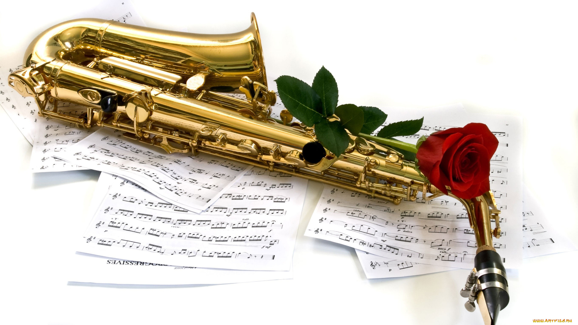 музыка, музыкальные, инструменты, ноты, саксофон, роза