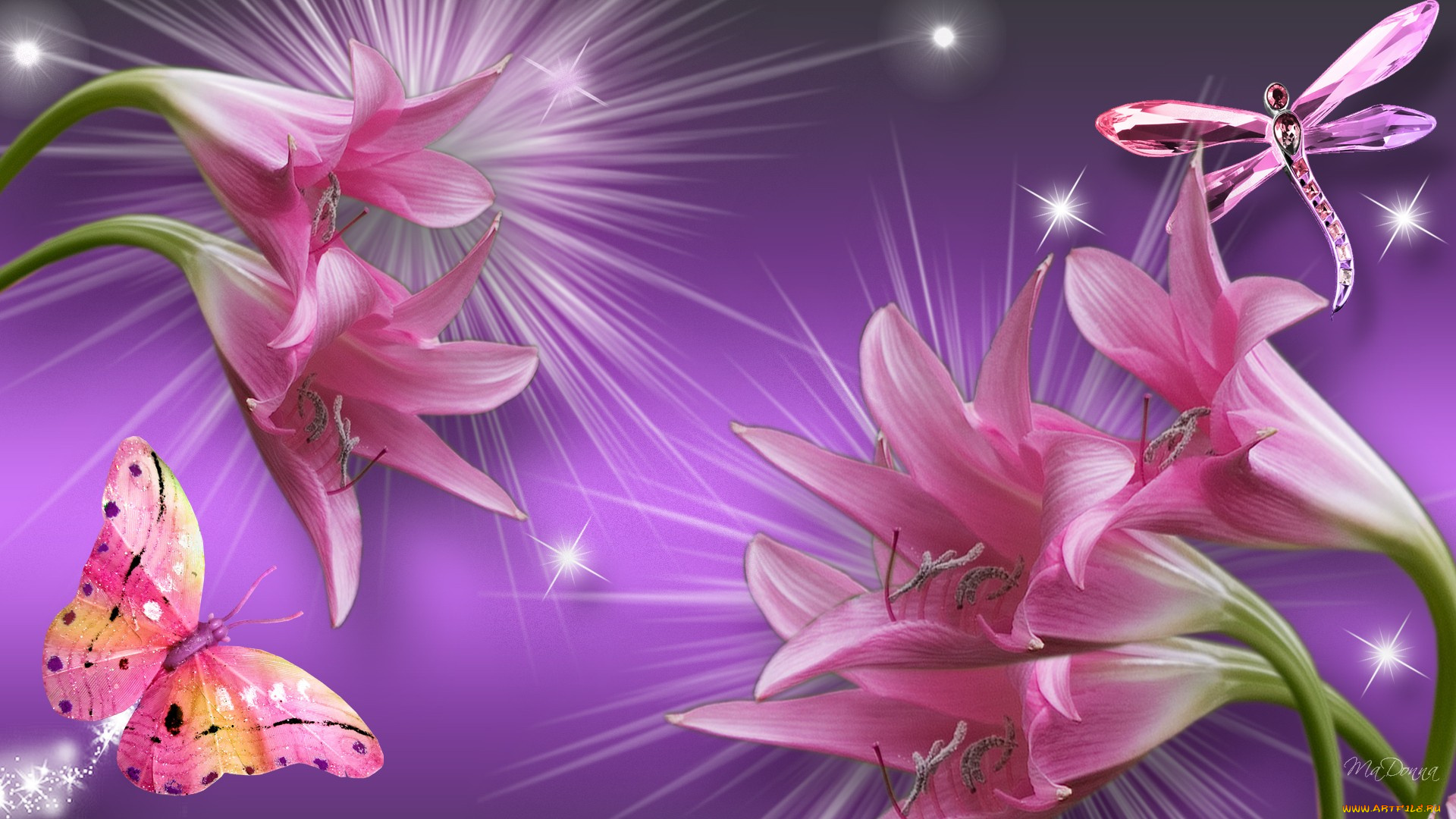 pink, on, purple, рисованные, цветы, бабочка, стрекоза, цветок