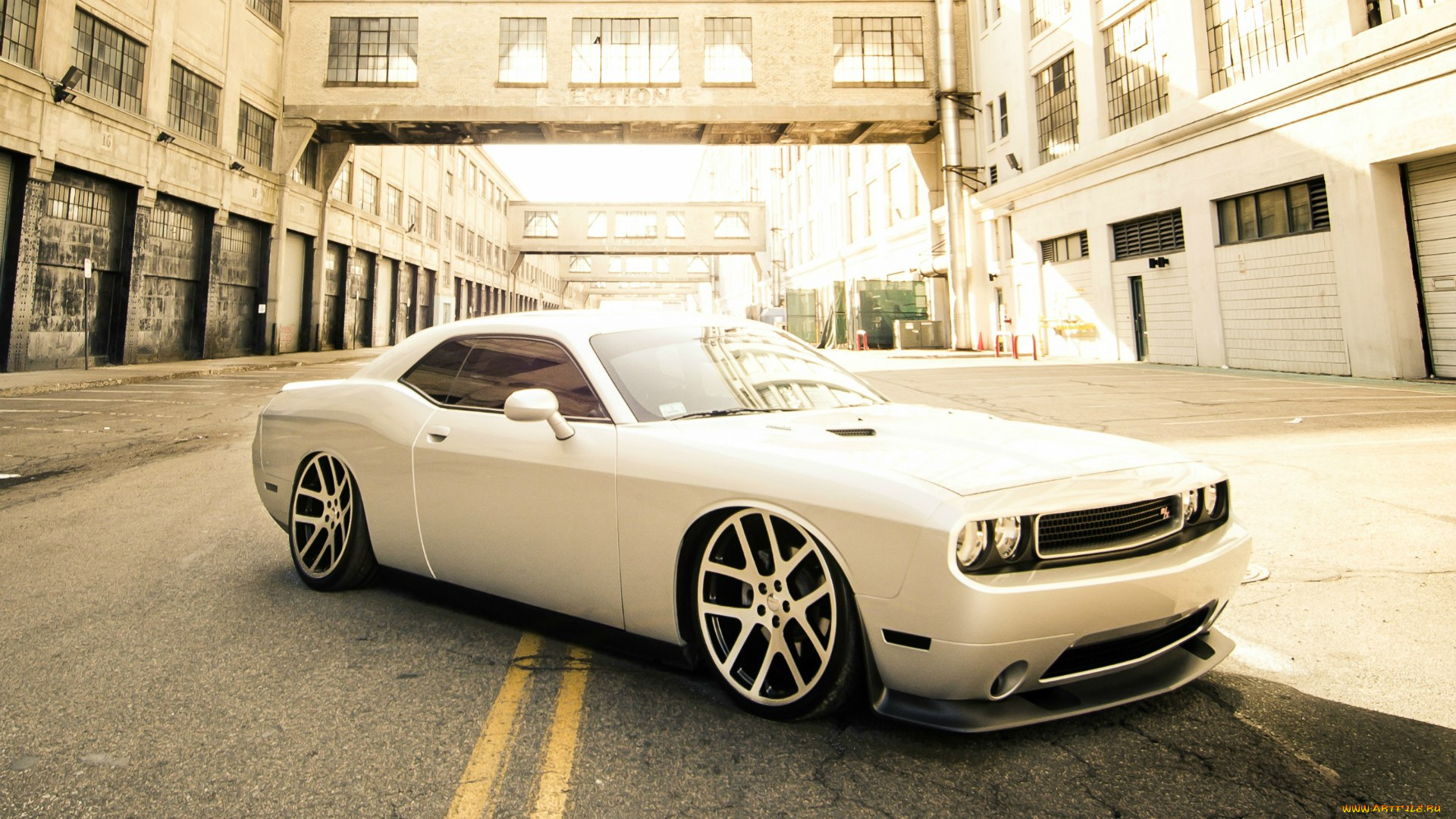 автомобили, dodge, challenger