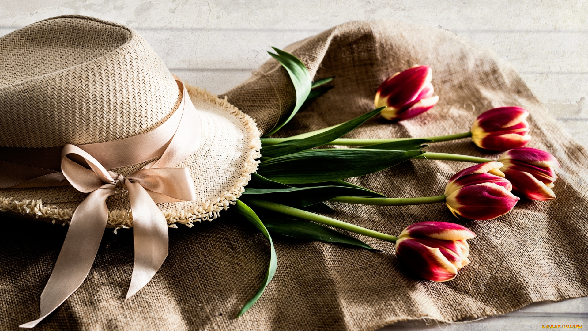 цветы, тюльпаны, бутоны, шляпа