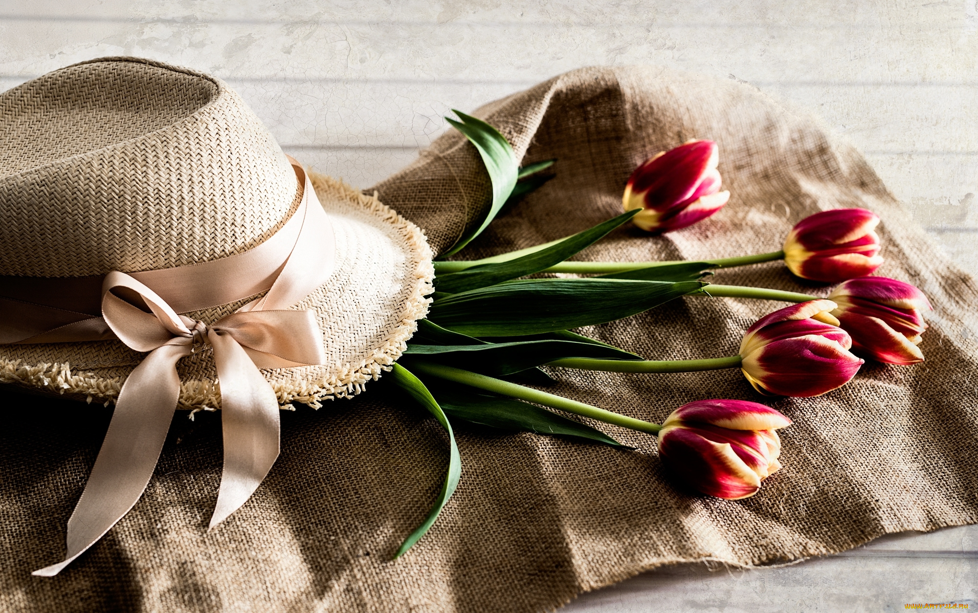 цветы, тюльпаны, бутоны, шляпа
