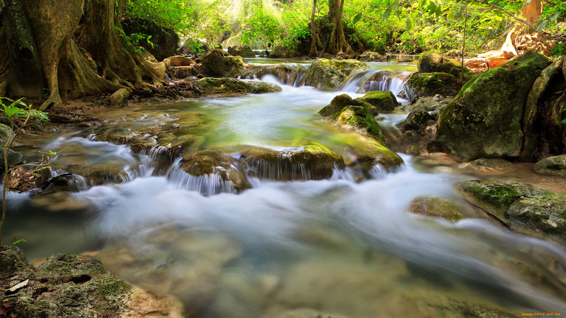 природа, реки, озера, cascade, river, mountain, rock, река, каскад, пороги, тропическая, растительность