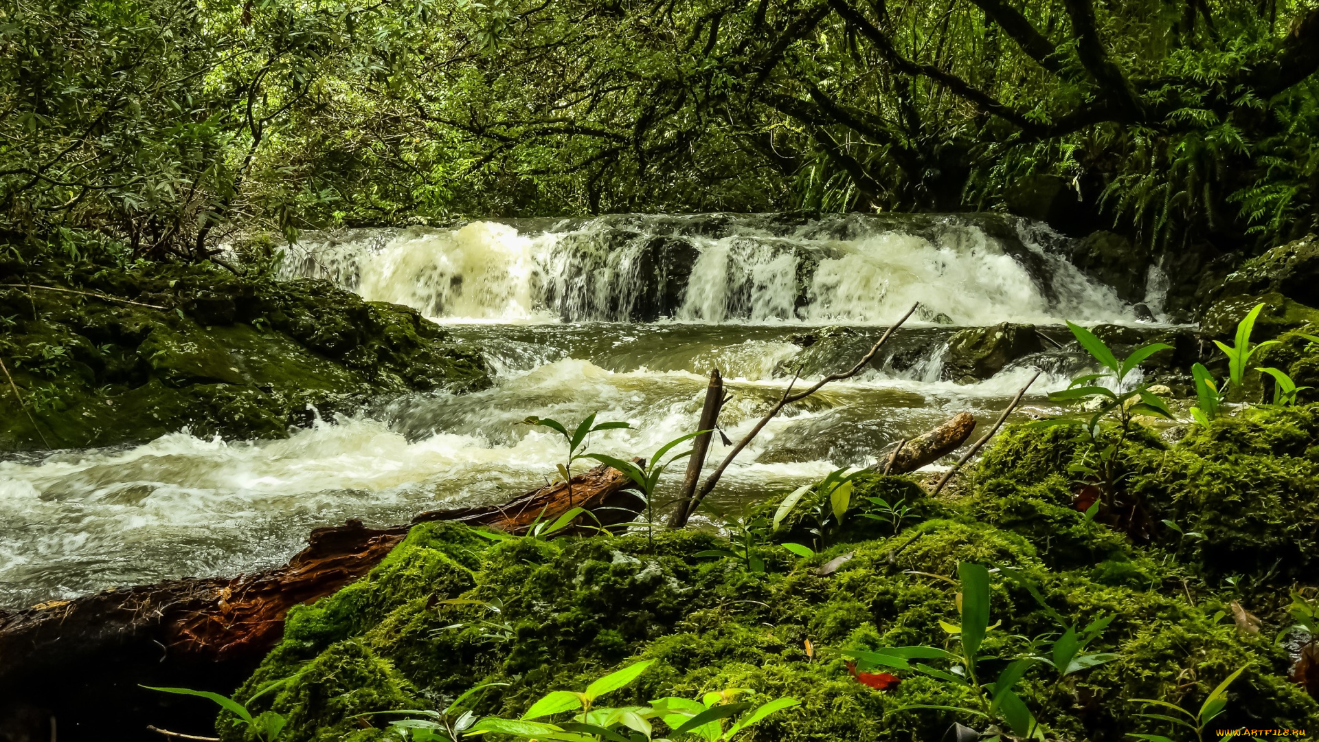 природа, водопады, река, лес