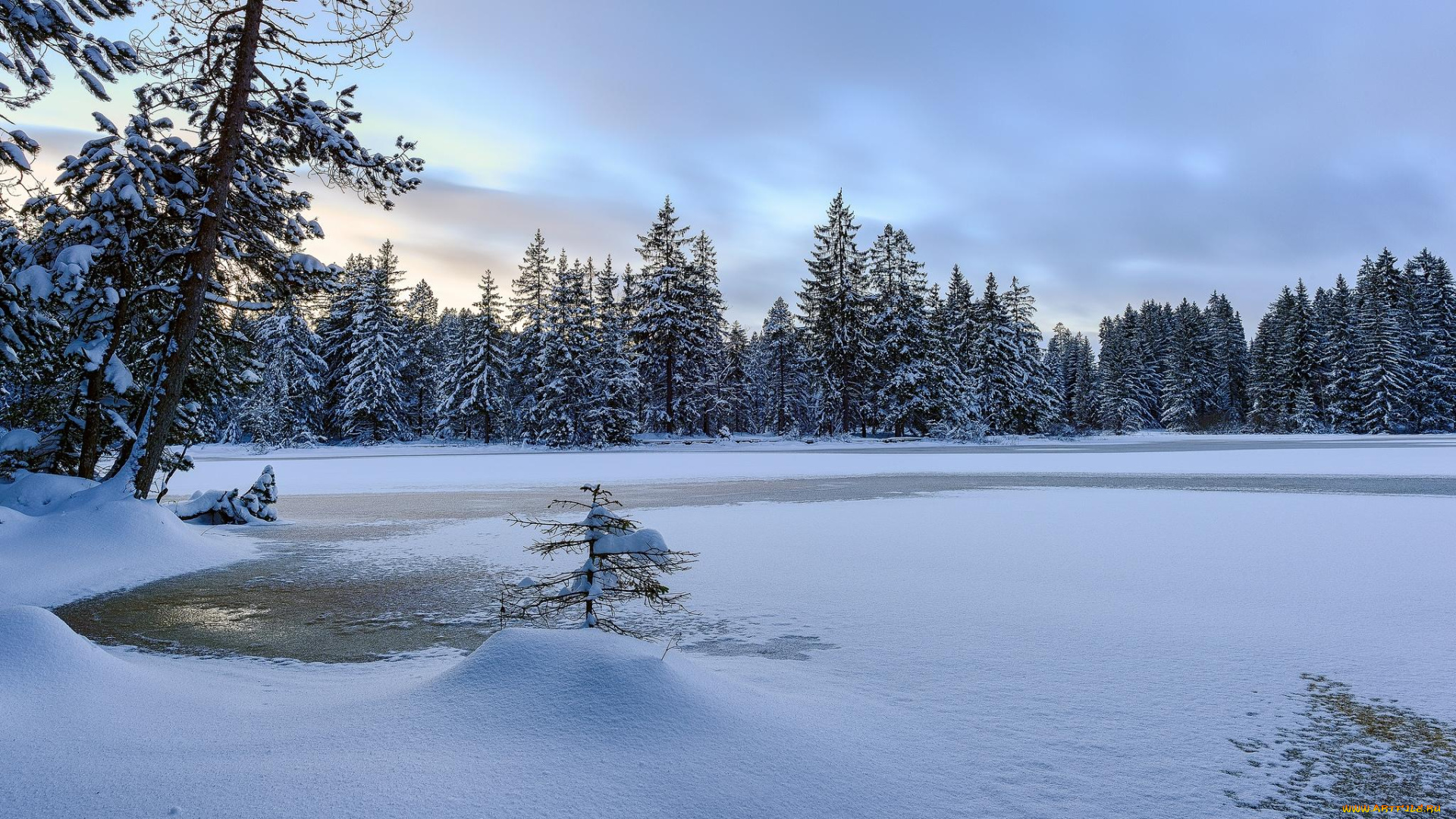 природа, зима, пейзаж, деревья, озеро