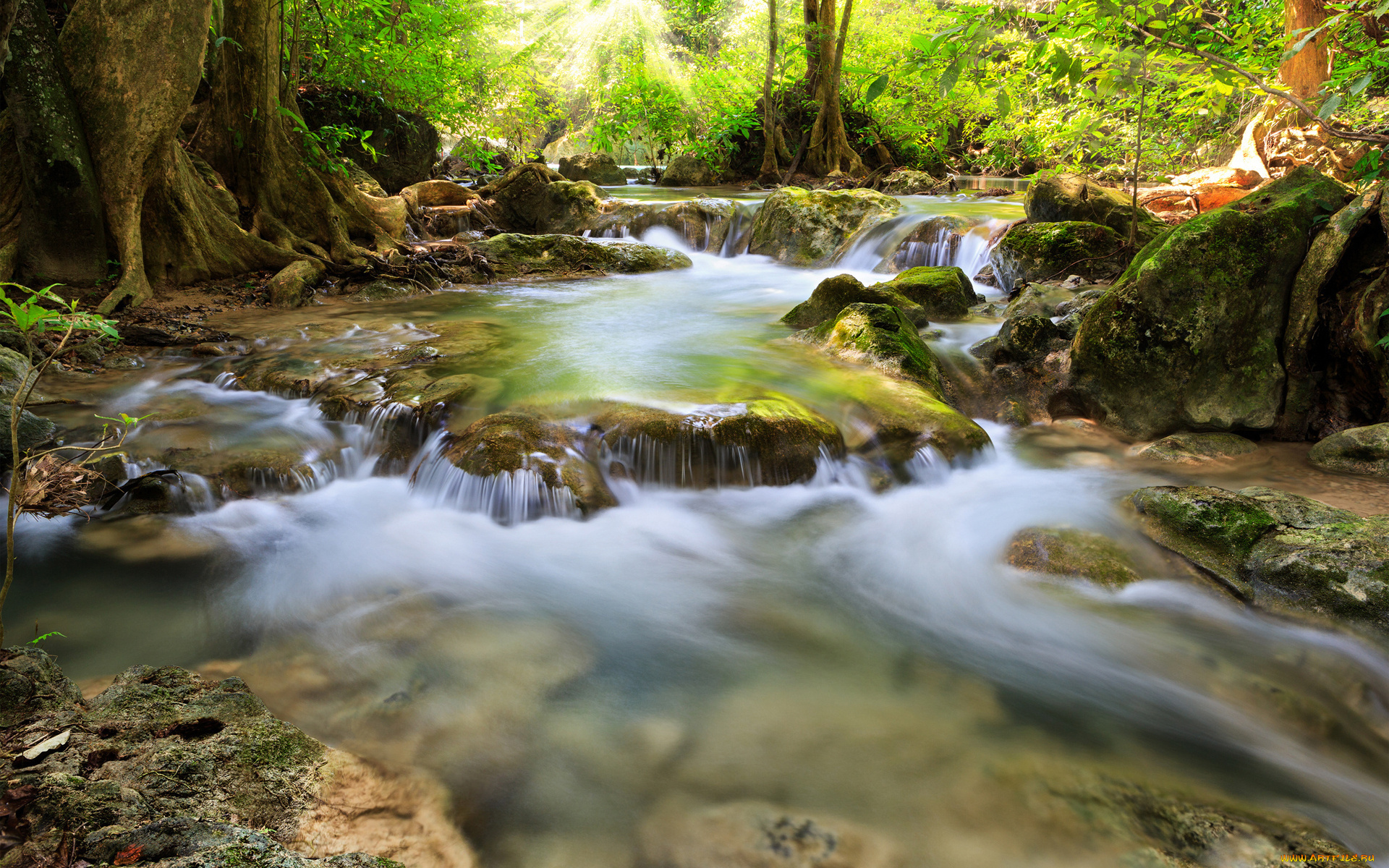 природа, реки, озера, cascade, river, mountain, rock, река, каскад, пороги, тропическая, растительность