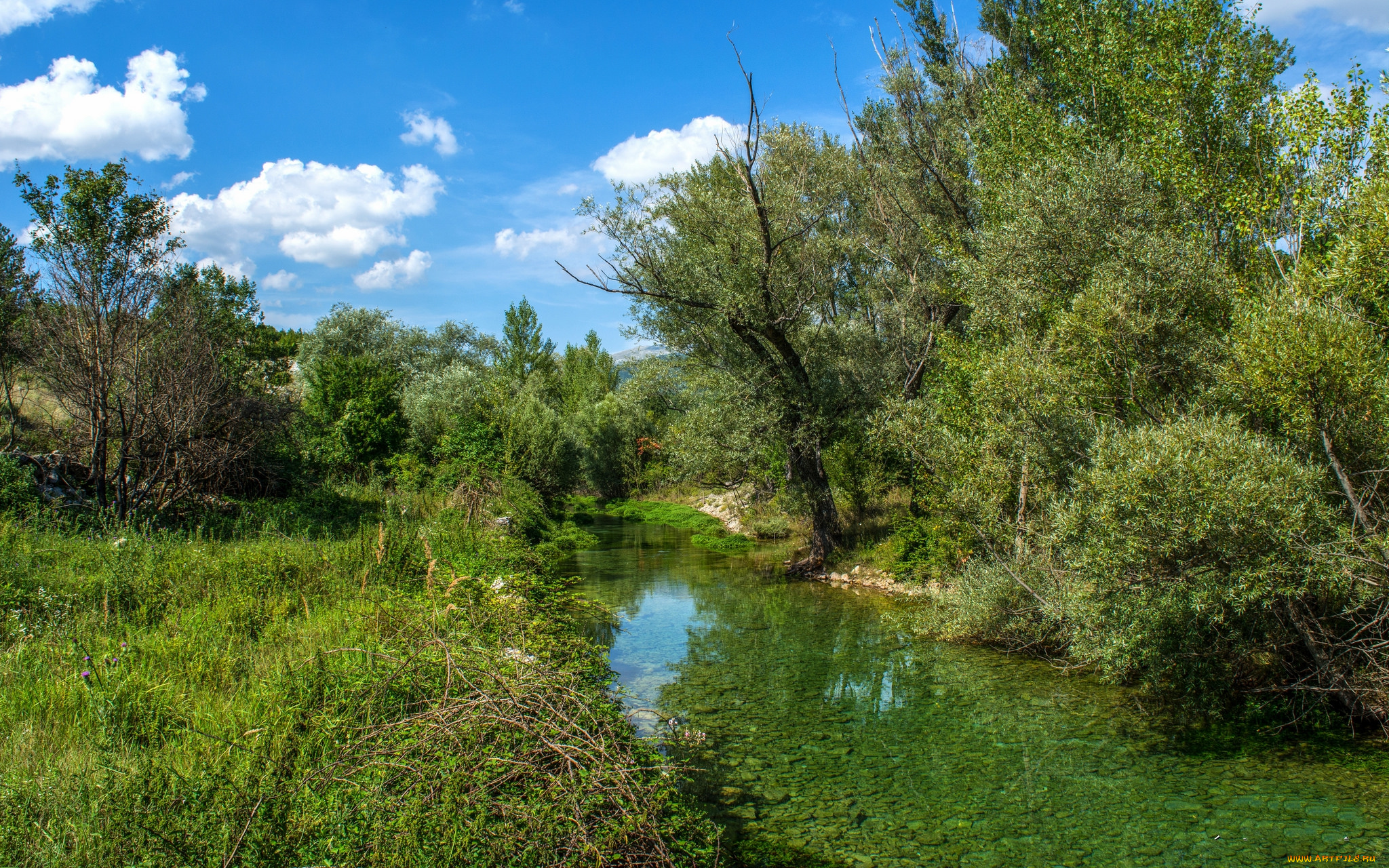 природа, реки, озера, река, лес