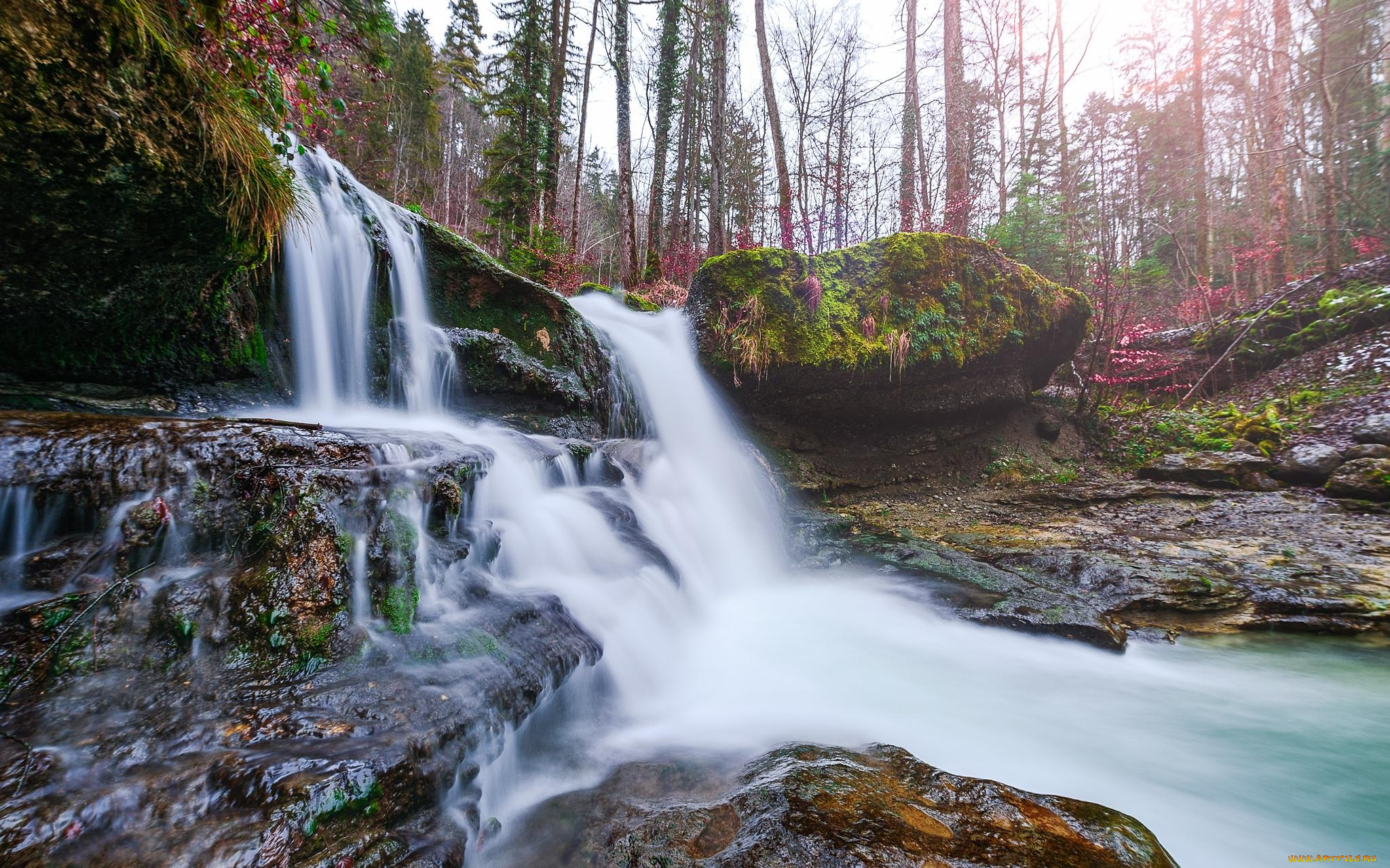 природа, водопады, лес, водопад, деревья