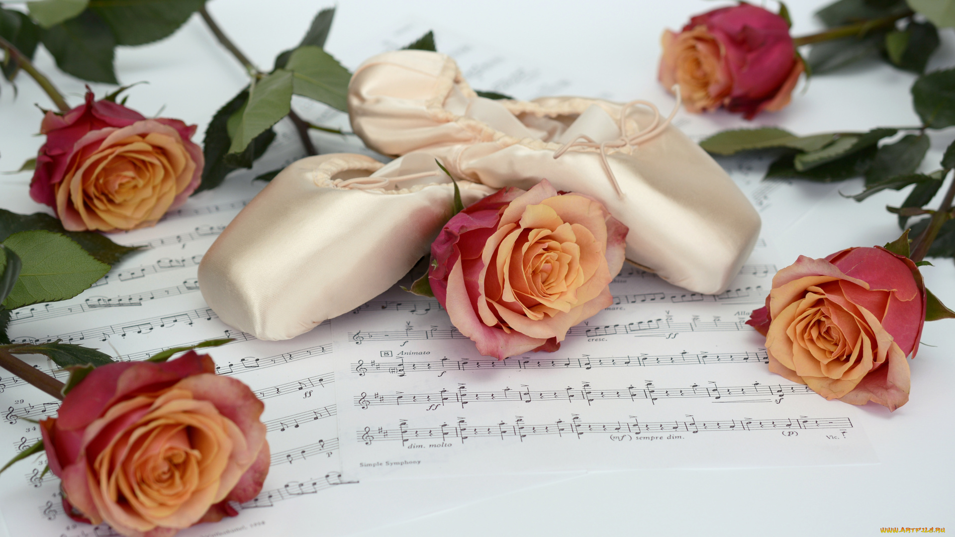 музыка, -другое, цветы, балетки, ноты