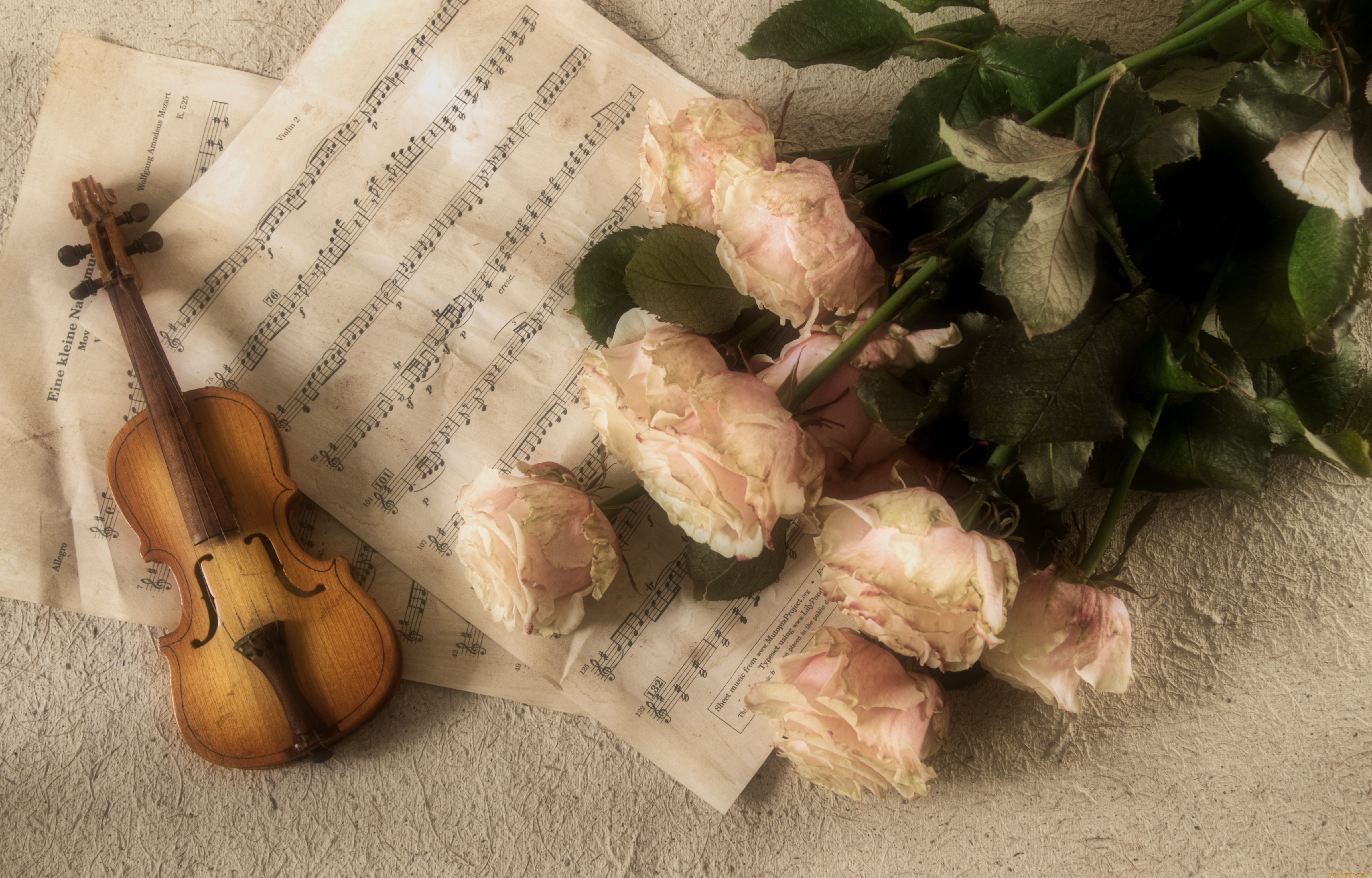 музыка, -музыкальные, инструменты, ноты, цветы, скрипка