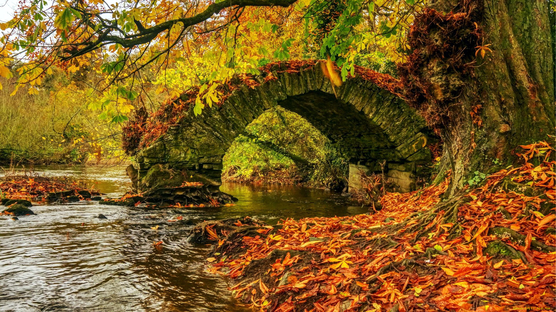 river, boyne, babes, bridge, ireland, природа, реки, озера, river, boyne, babes, bridge