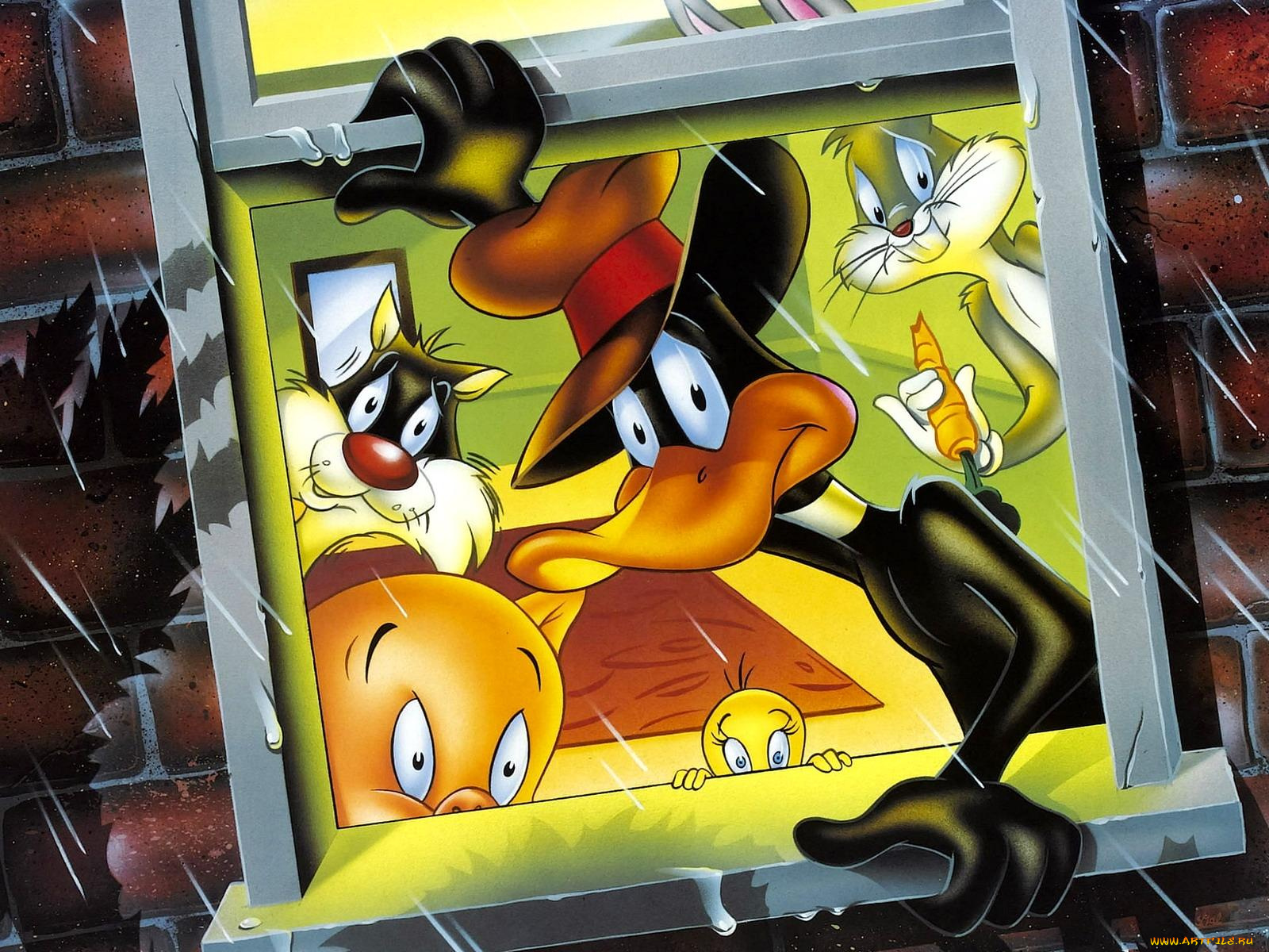 мультфильмы, looney, tunes