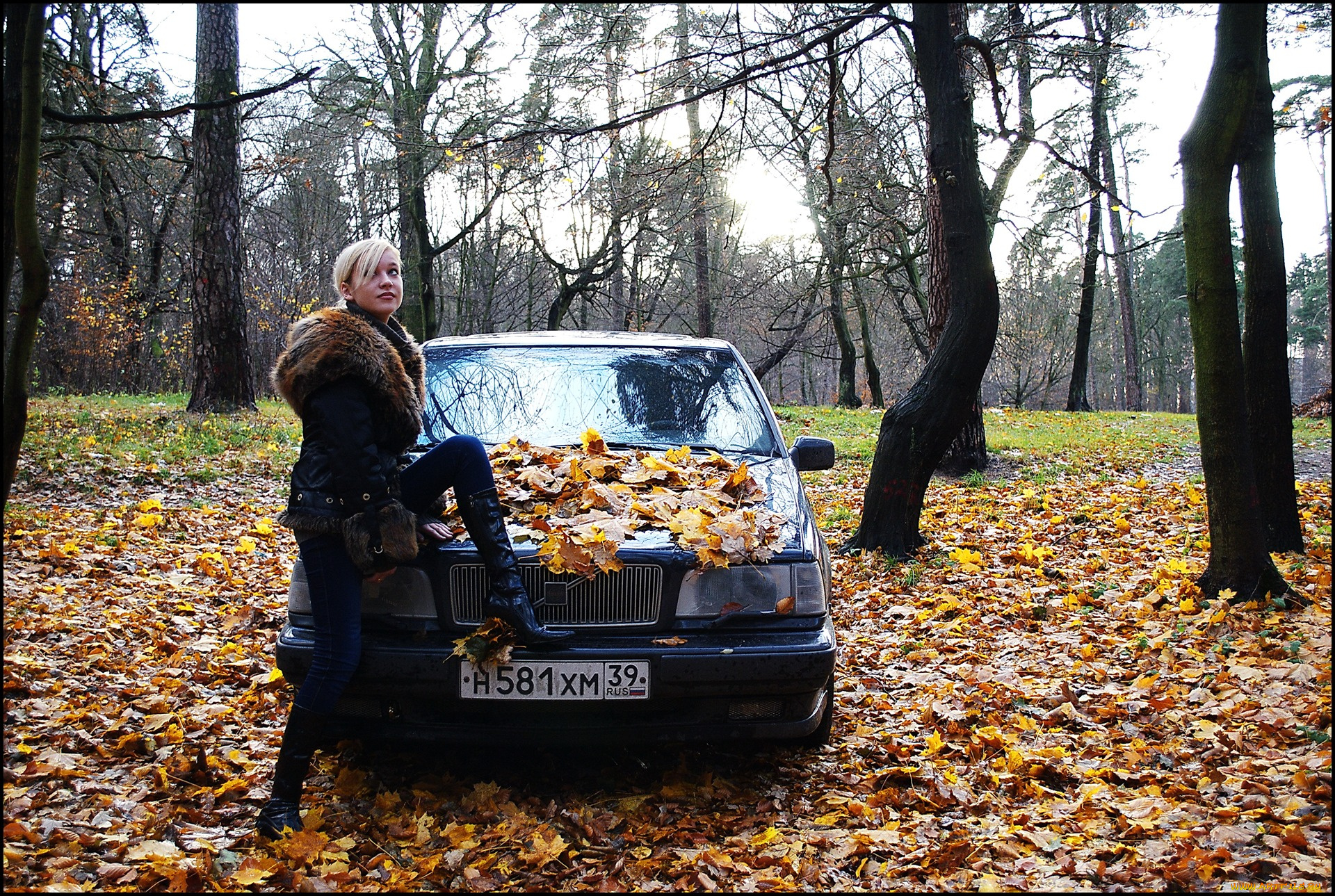 автомобили, авто, девушками, girl, auto