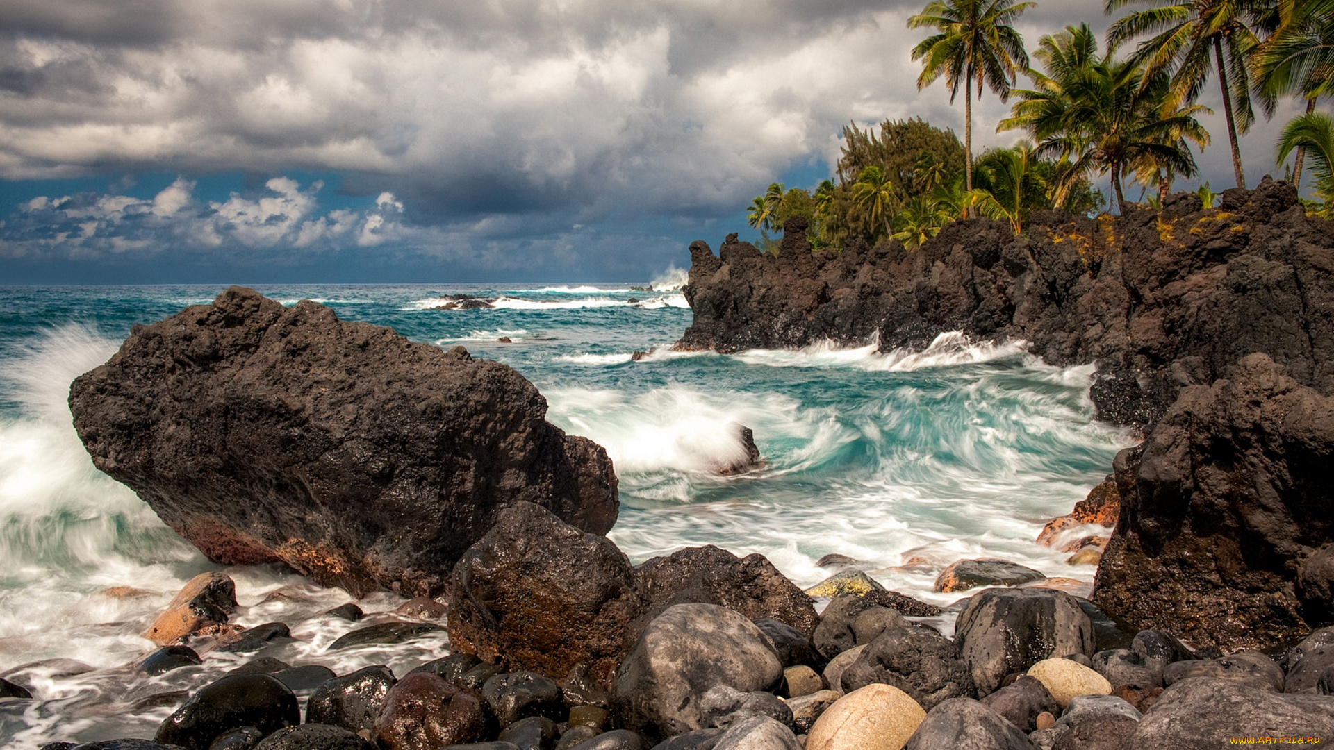 maui, hawaii, природа, тропики, пальмы, мауи, гавайи, тихий, океан, скалы, камни, прибой