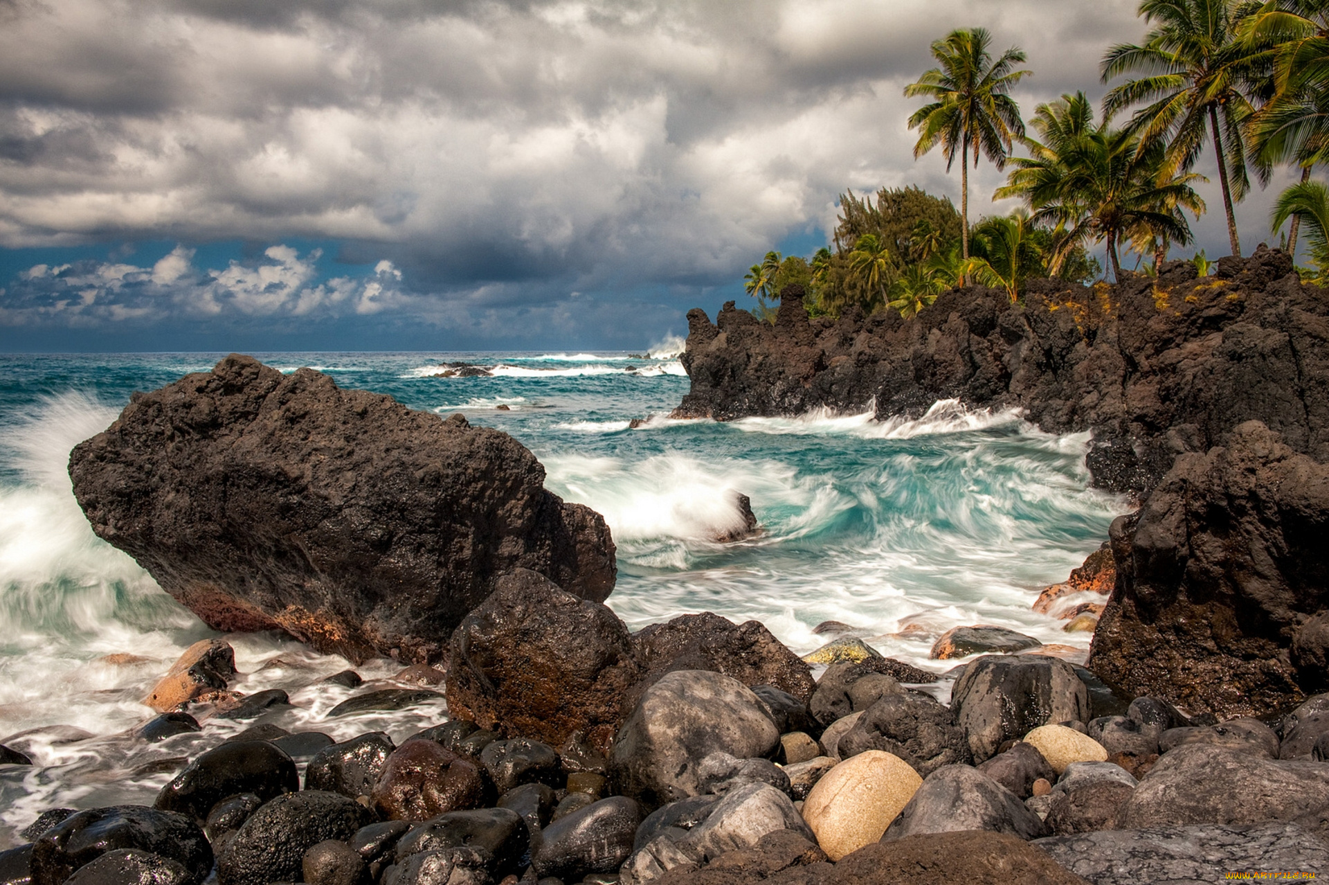 maui, hawaii, природа, тропики, пальмы, мауи, гавайи, тихий, океан, скалы, камни, прибой