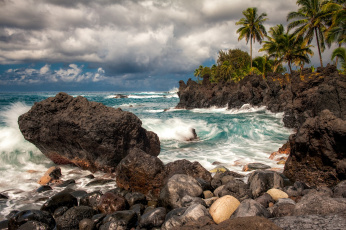 обоя maui, hawaii, природа, тропики, пальмы, мауи, гавайи, тихий, океан, скалы, камни, прибой