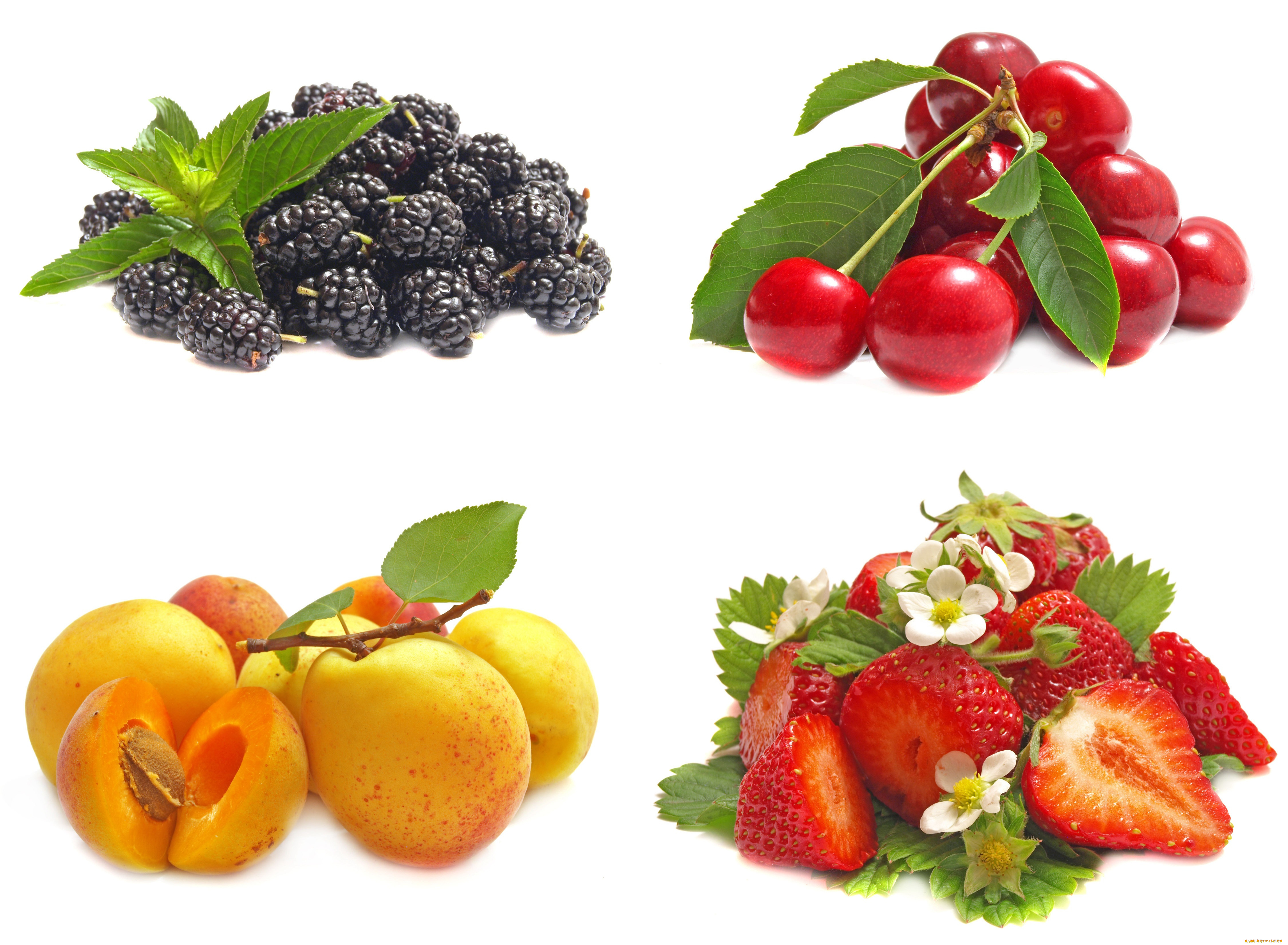 еда, фрукты, ягоды, коллаж, вишня, клубника, смородина