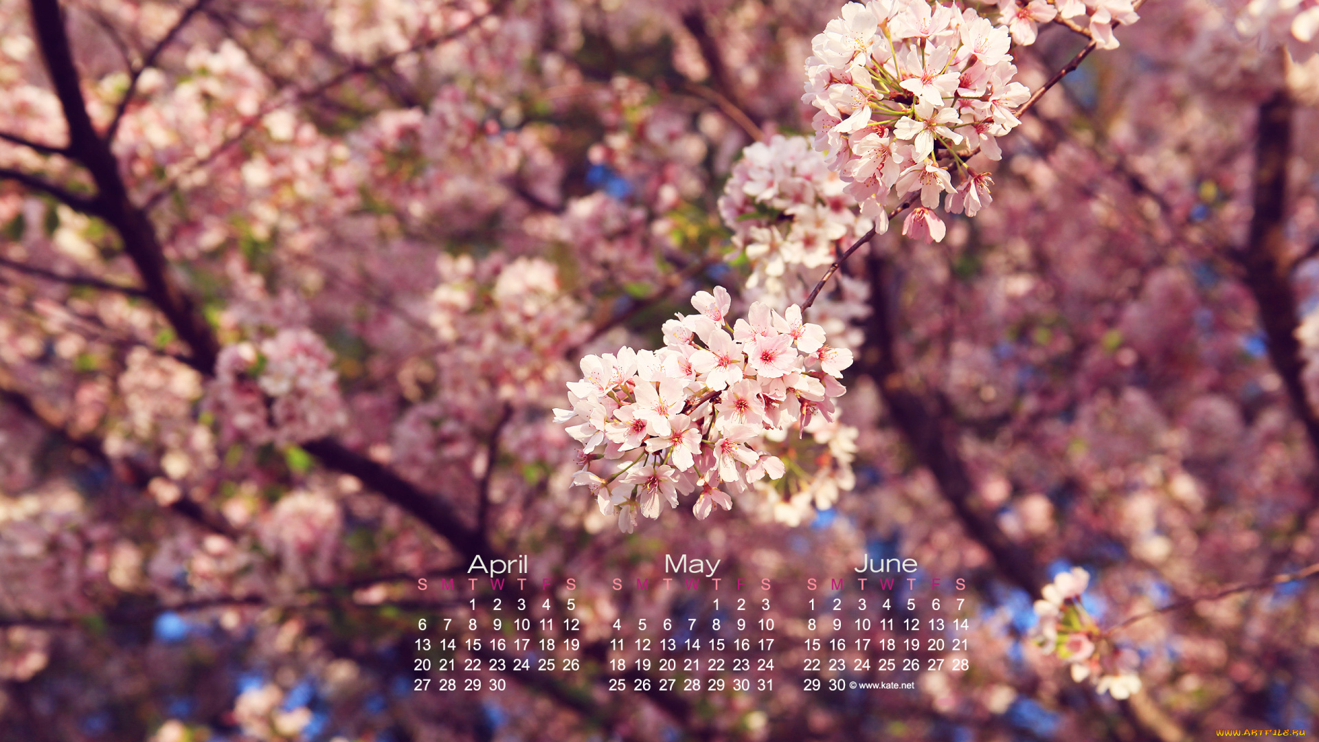 календари, цветы, весна