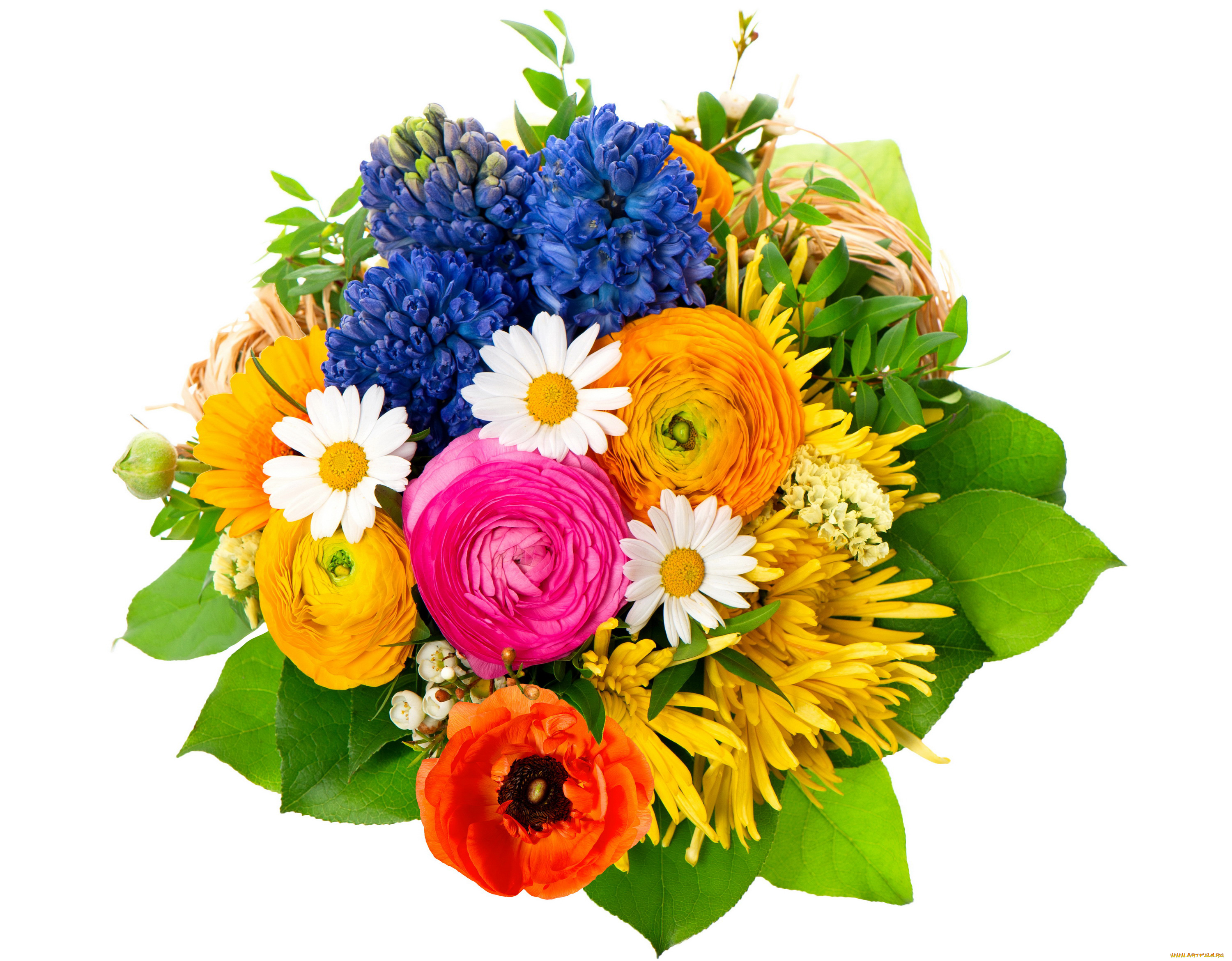 цветы, букеты, , композиции, хризантемы, маки, гиацинты, лютики, букет