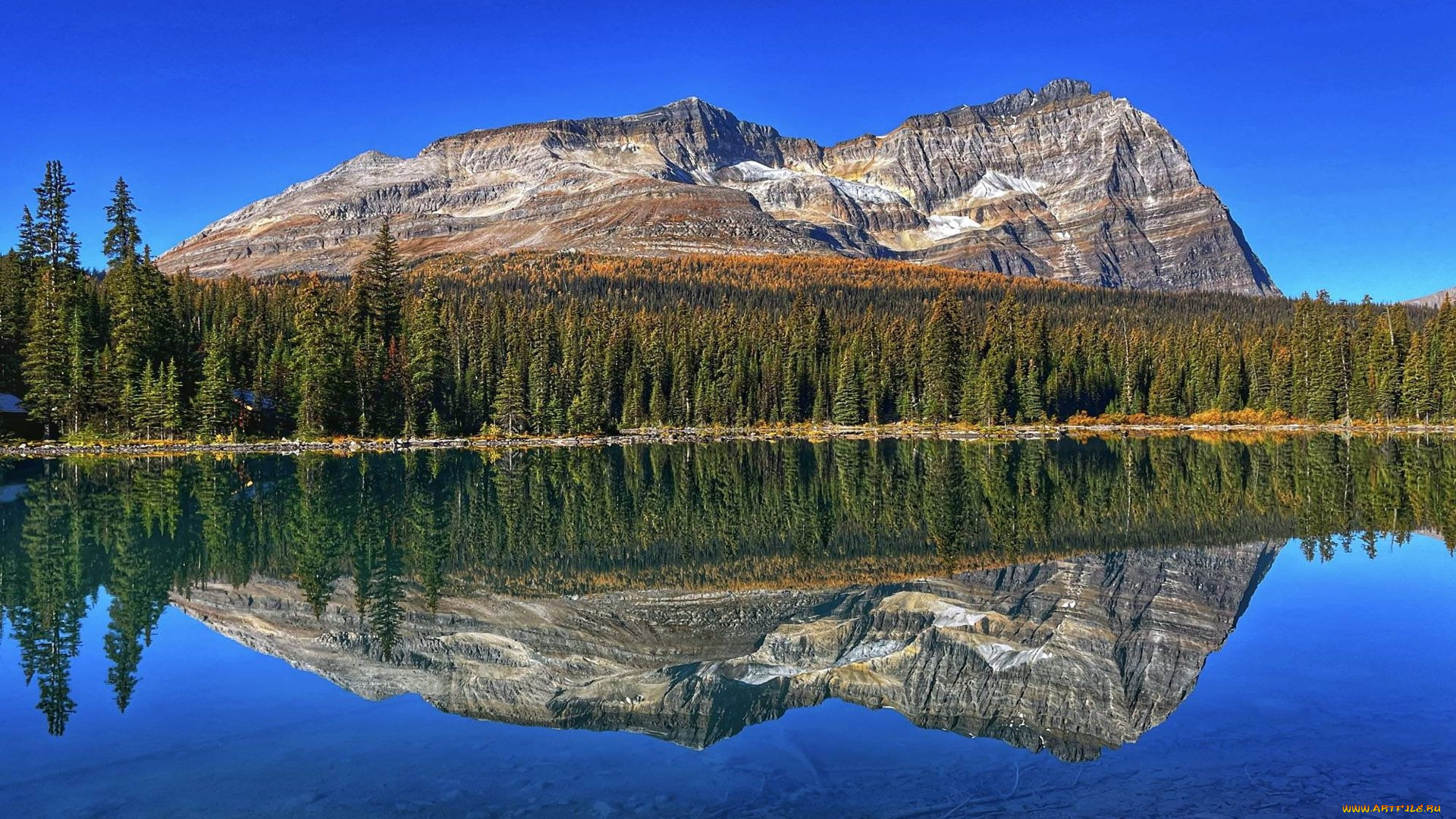 lake, o`hara, yoho, np, british, columbia, природа, реки, озера, lake, o'hara, yoho, np, british, columbia